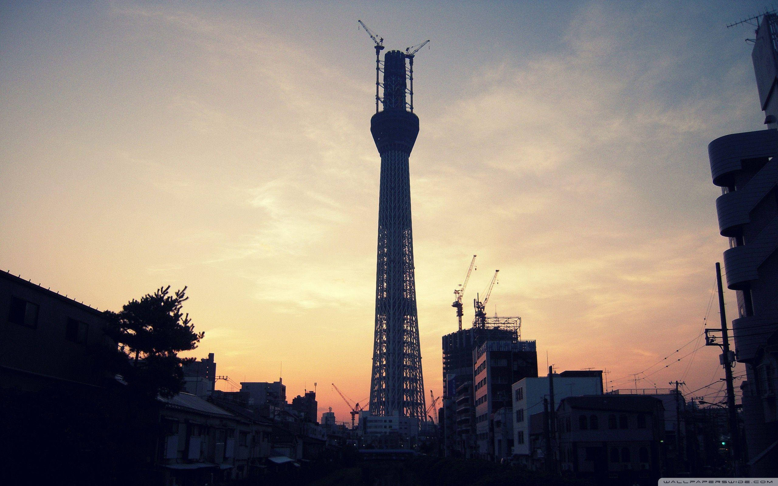 high rise building, under construction, warm sunset sky, 2K Desktop Wallpaper