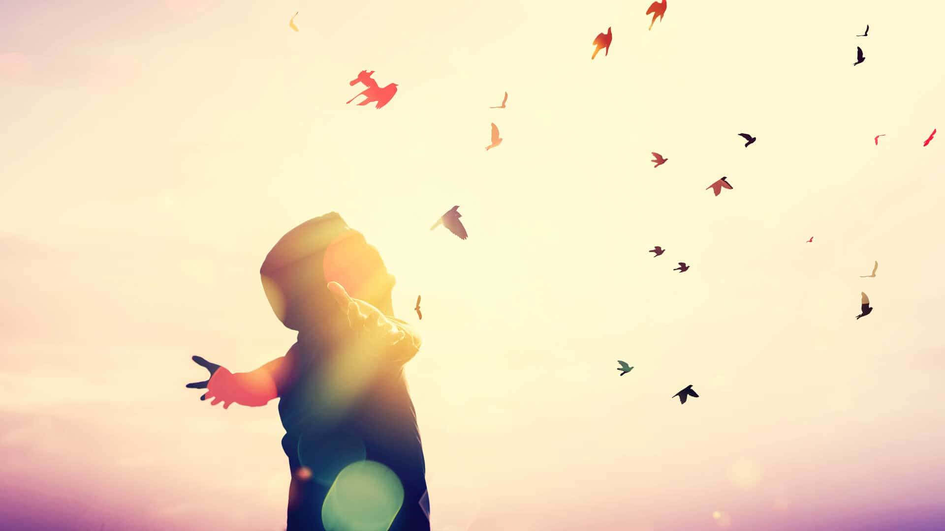 contentment, 1920 x 1080, sunset, Full HD Desktop Wallpaper
