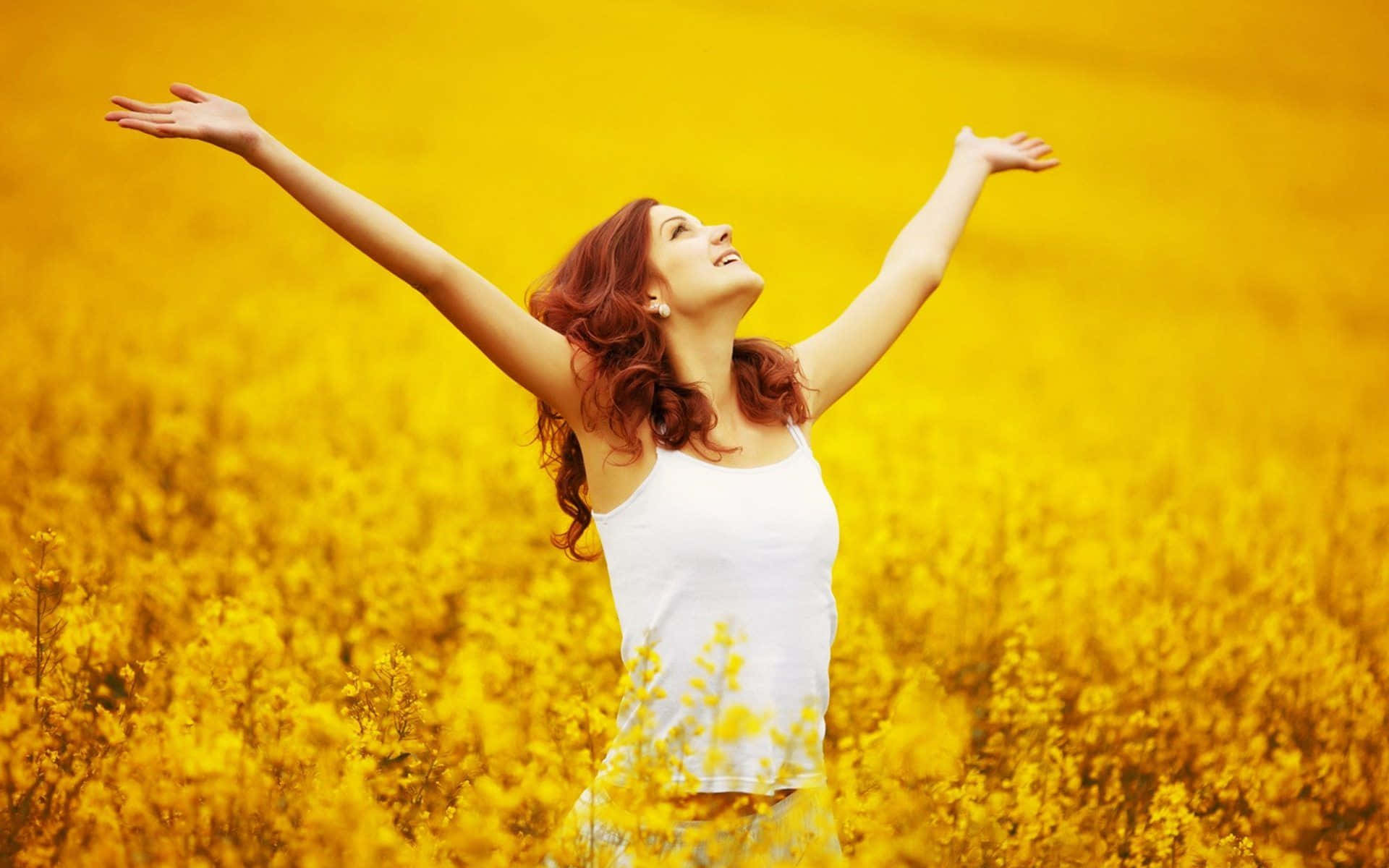 contentment, 1920 x 1200, golden field, Full HD Desktop Wallpaper