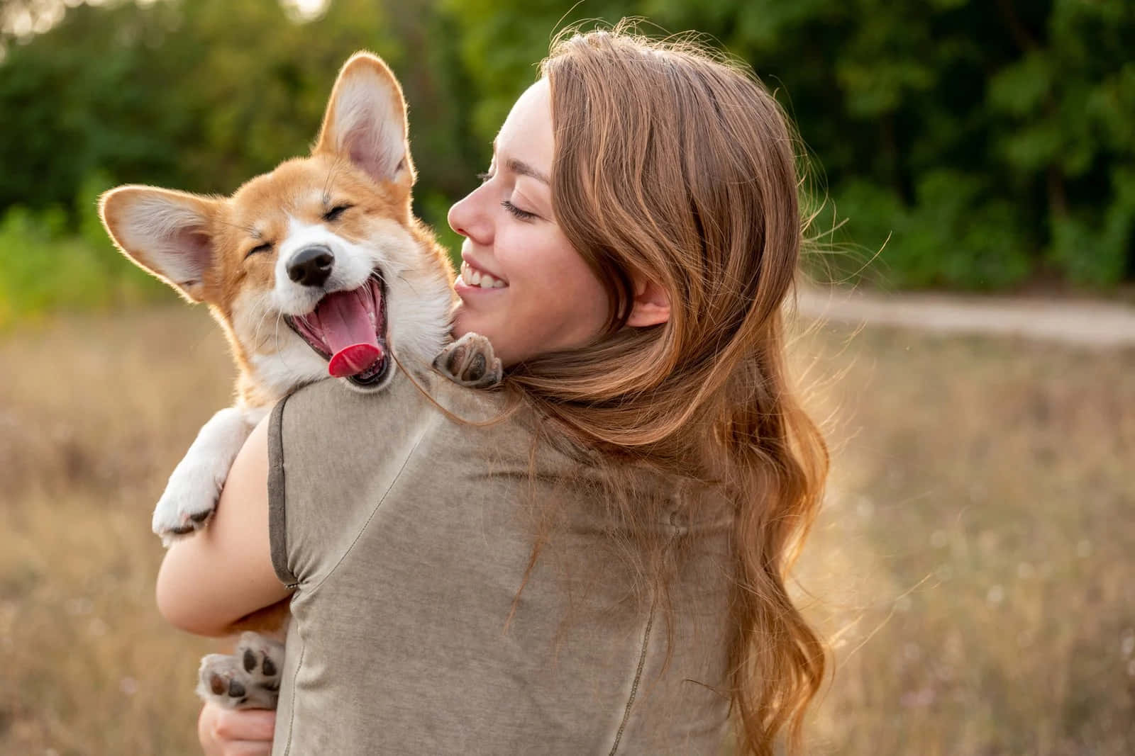 Serene Woman, happy corgi puppy, grassy field, HD Desktop Wallpaper