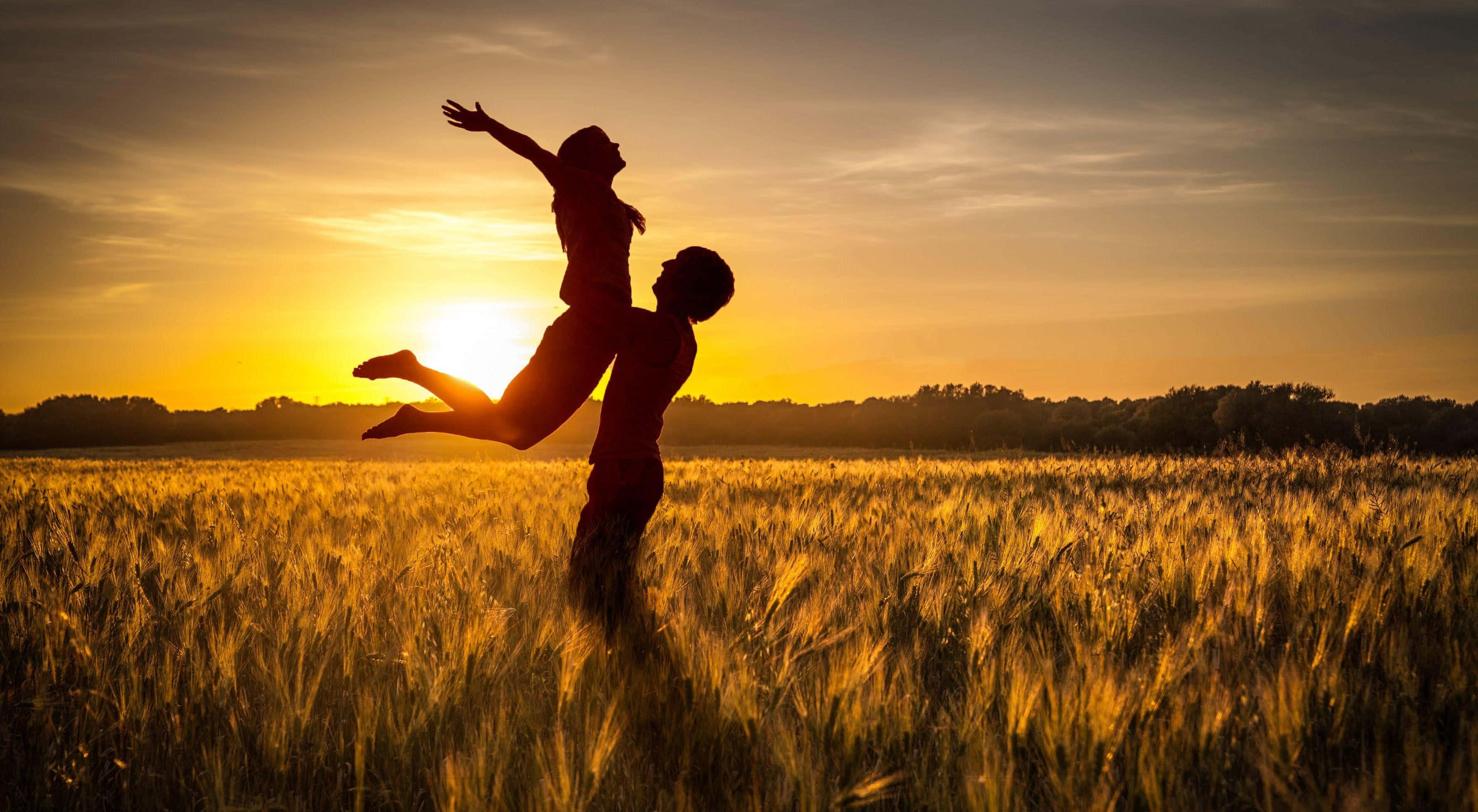 contentment, 3554 x 1953, golden wheat field, 2K Desktop Wallpaper
