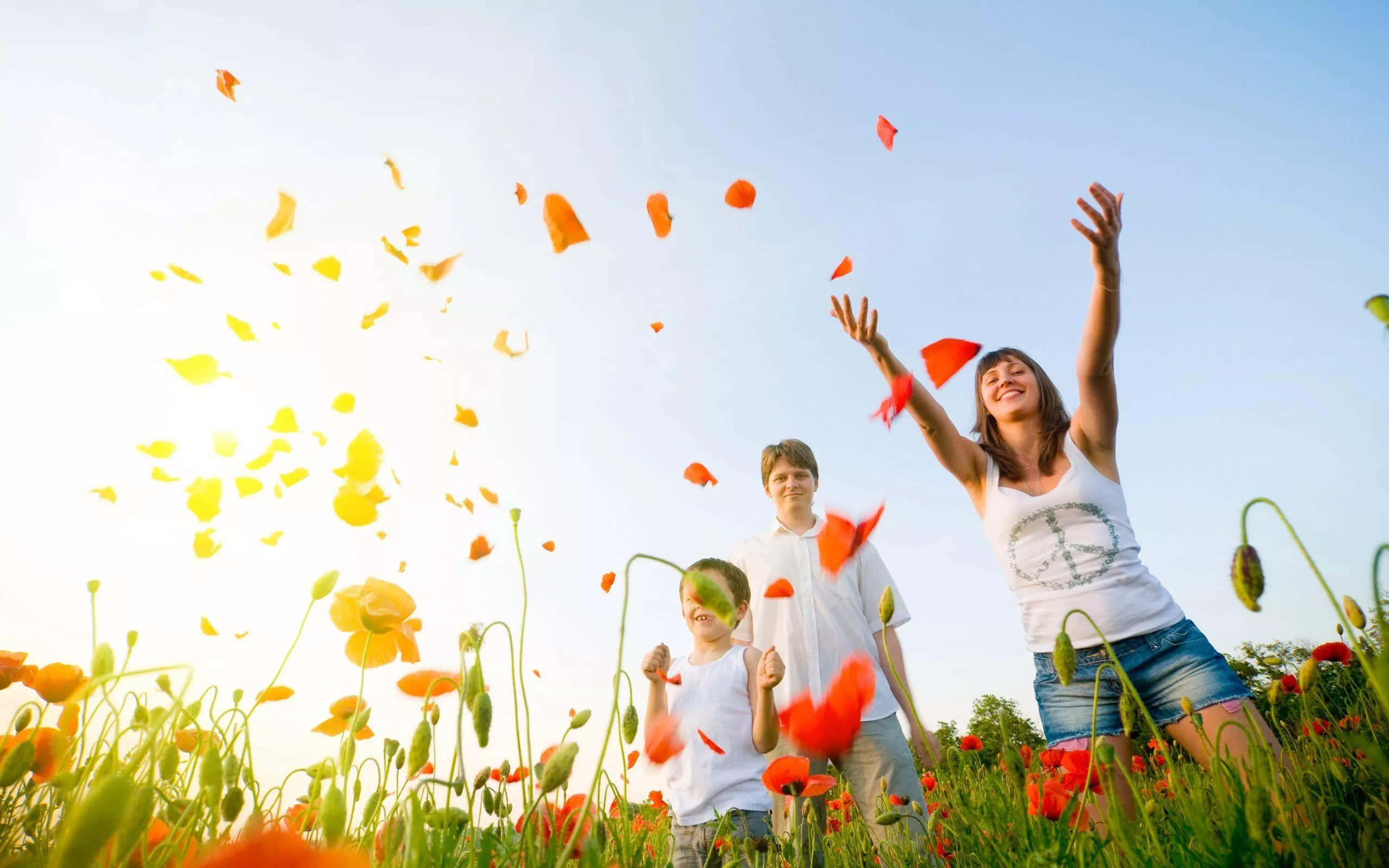 Golden Sunset, vibrant orange poppy petals, bright blue sky, 2K Desktop Wallpaper