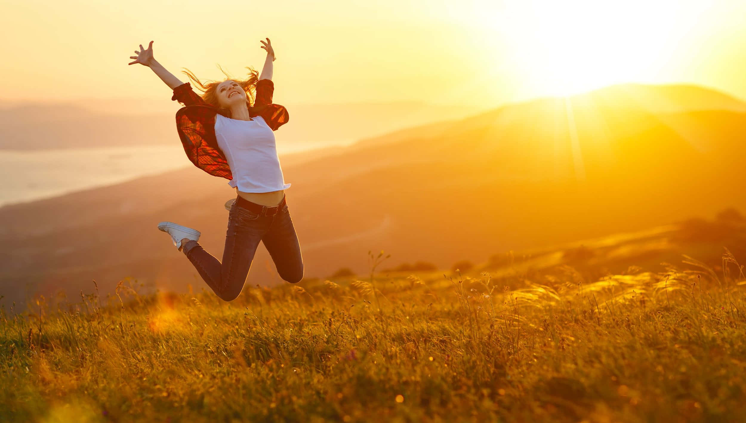 contentment, golden field, sunset, Full HD Desktop Wallpaper