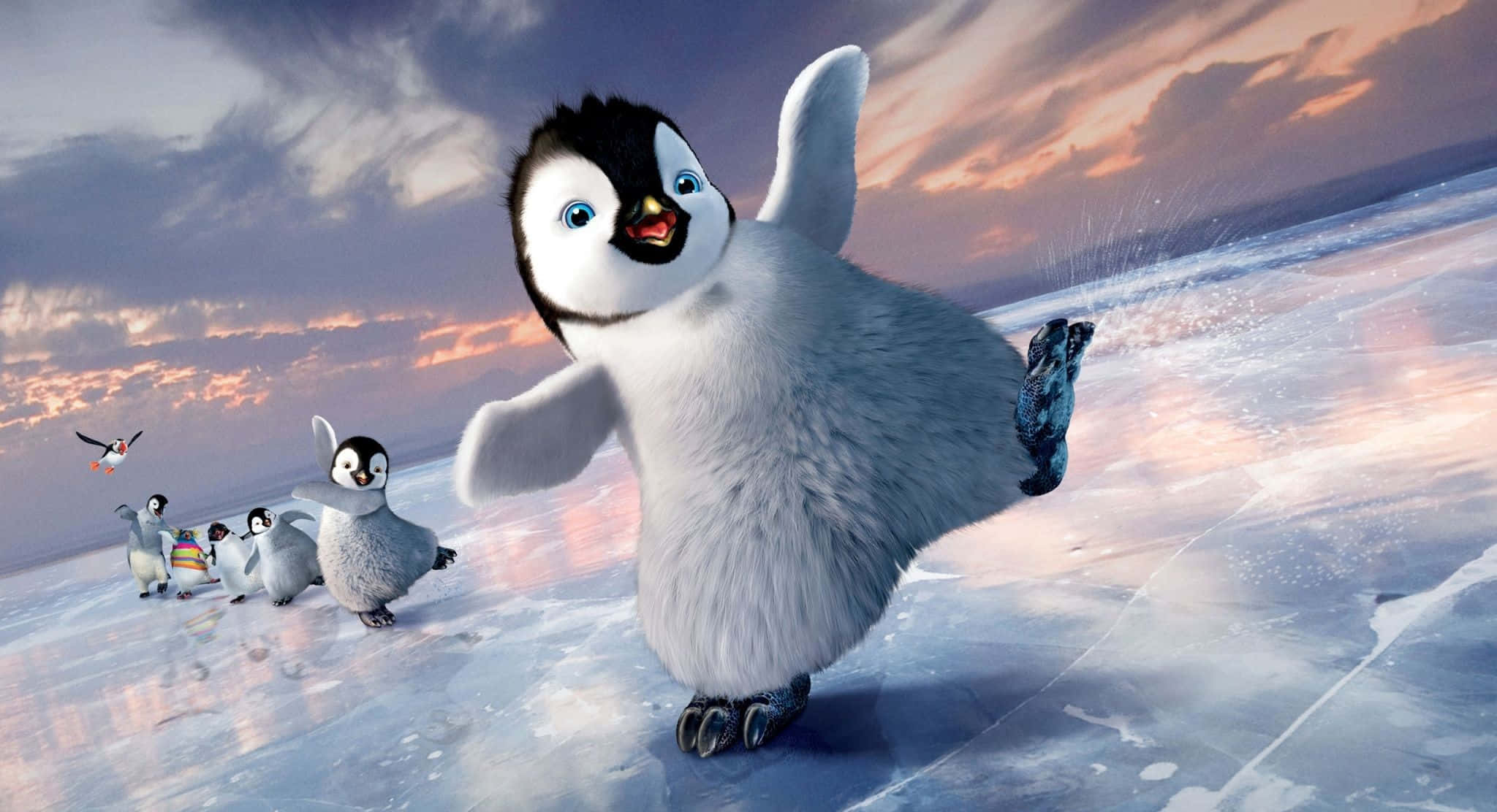 penguin chick, icy terrain, flock, Full HD Desktop Wallpaper