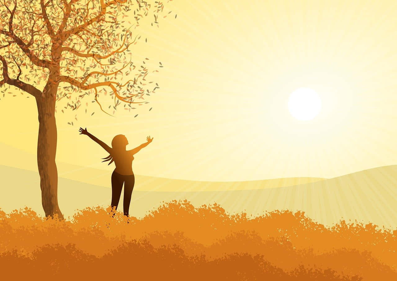 golden sun, autumn leaves, bare tree, HD Desktop Wallpaper