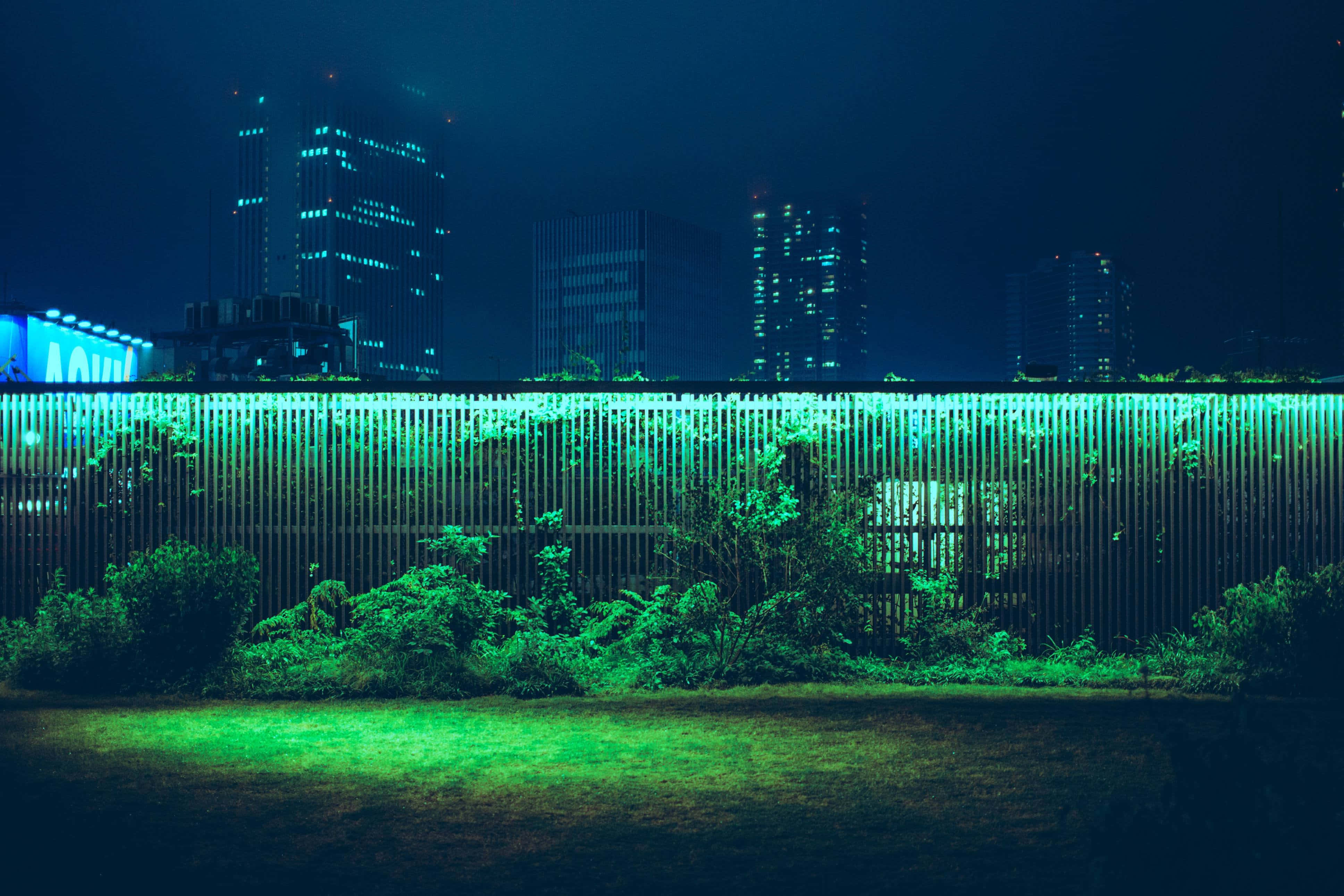 Contrast, glowing green fence, lush bushes, 4K Desktop Wallpaper