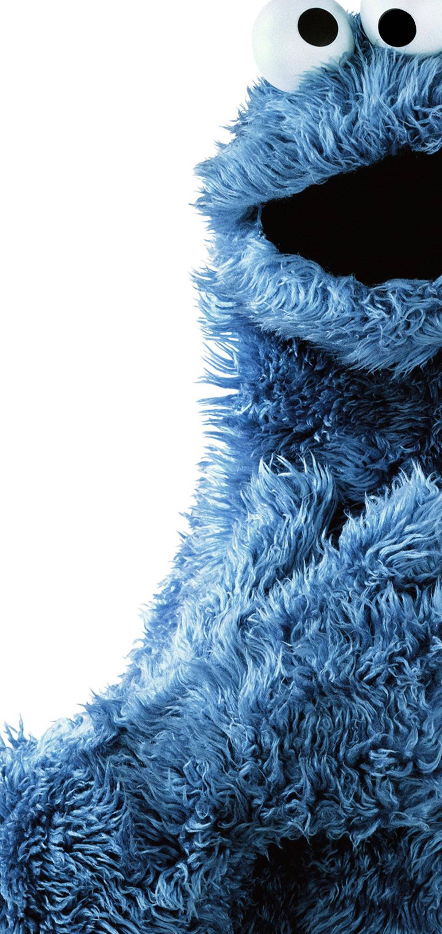 Cookie Monster, blue, fluffy, 2K Phone Wallpaper