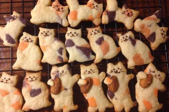 cute cat cookies, orange and purple spots, wire rack, SD Desktop Wallpaper