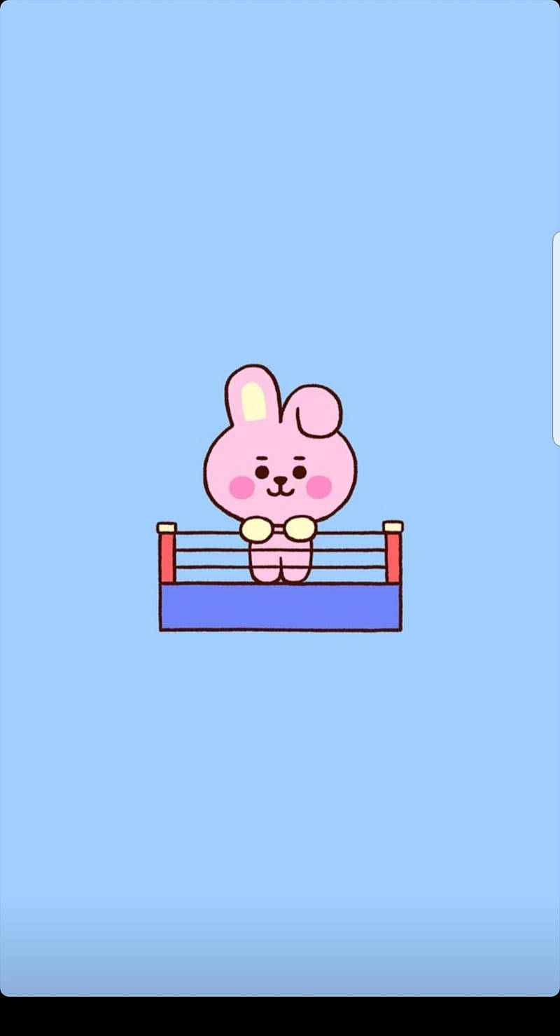 Cooky Bt21, boxing ring, pink cartoon bunny, HD Phone Wallpaper