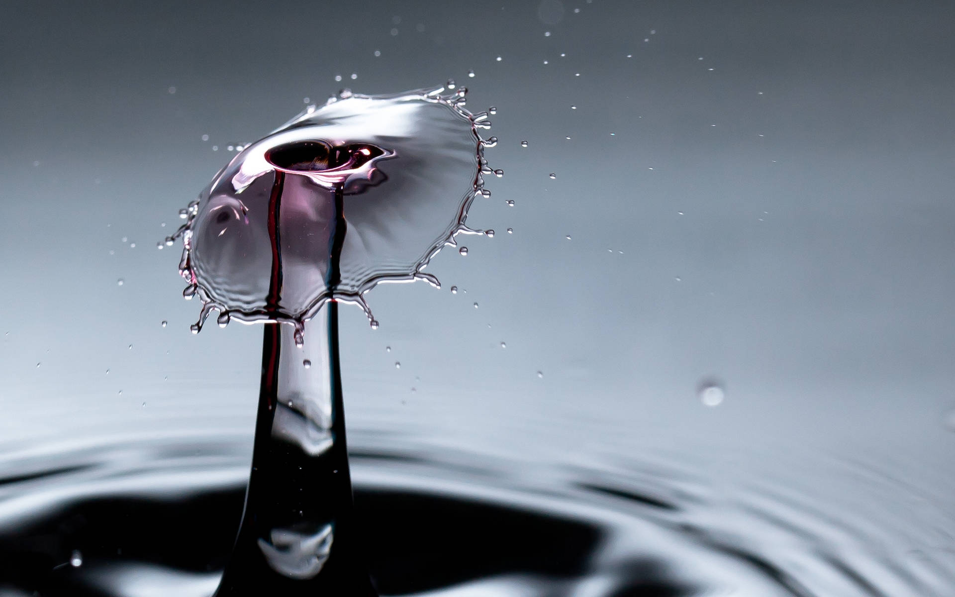 cool 3d water, water droplet crown, gradient gray background, Full HD Desktop Wallpaper