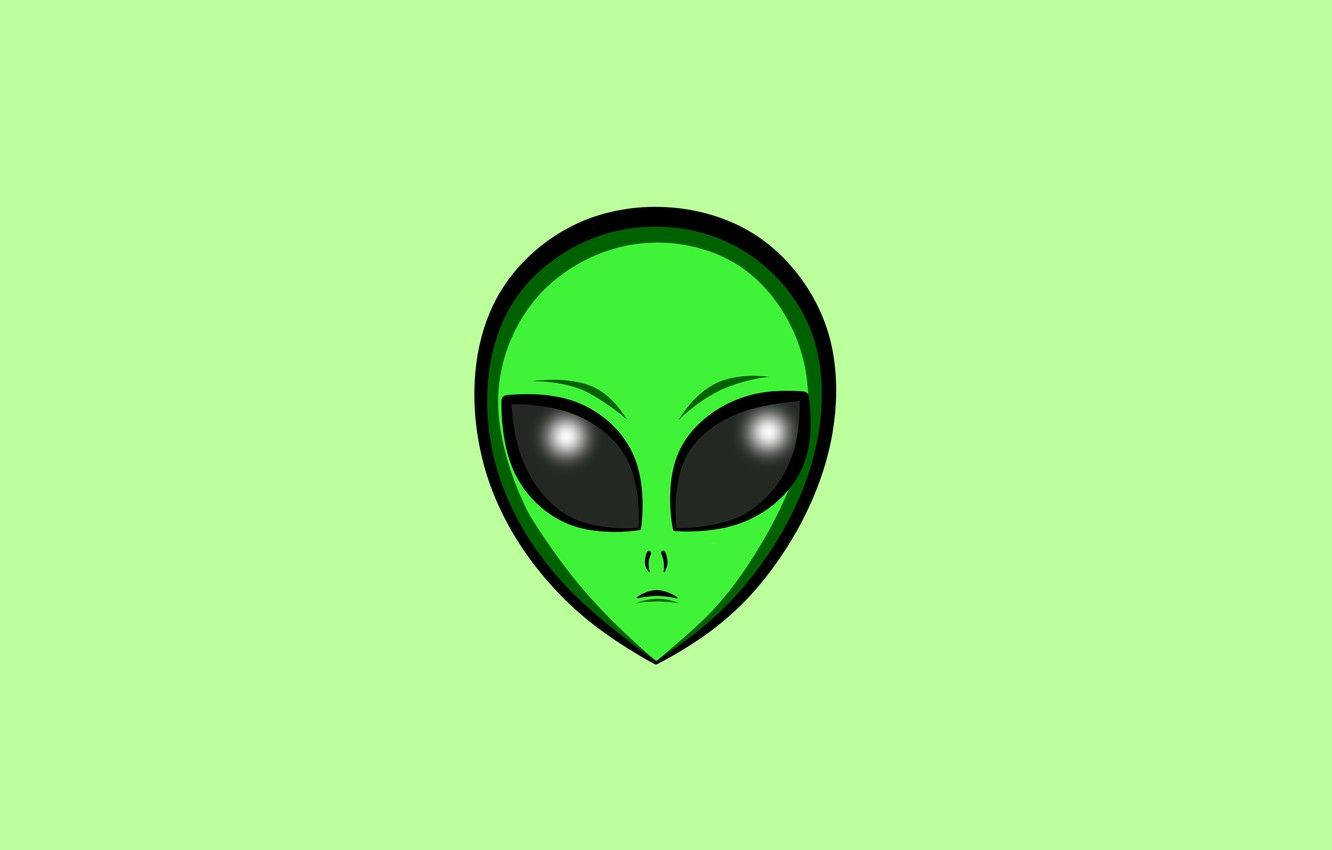Cool Alien, green alien, large black eyes, HD Desktop Wallpaper