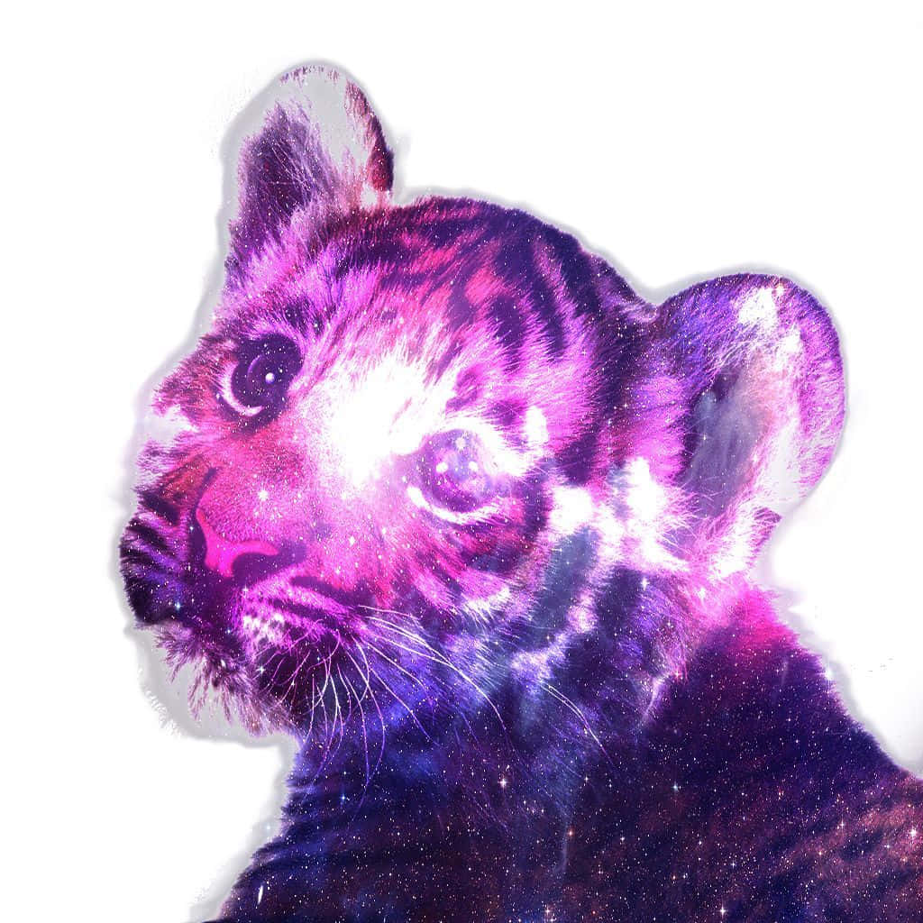 tiger cub, purple nebula fur, starry eyes, SD Desktop Wallpaper