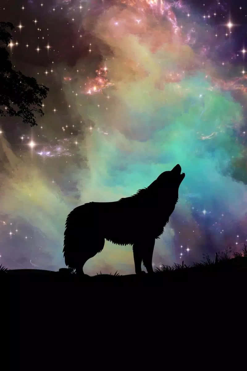 Cool Animal Galaxy, lone wolf silhouette, cosmic sky, SD Phone Wallpaper
