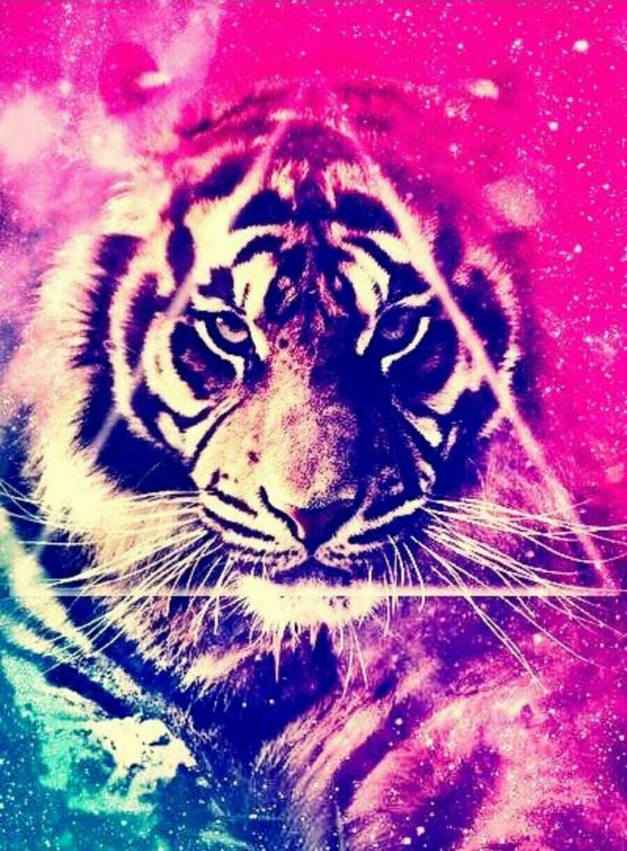 Cool Animal Galaxy, tiger, neon pink, SD Phone Wallpaper