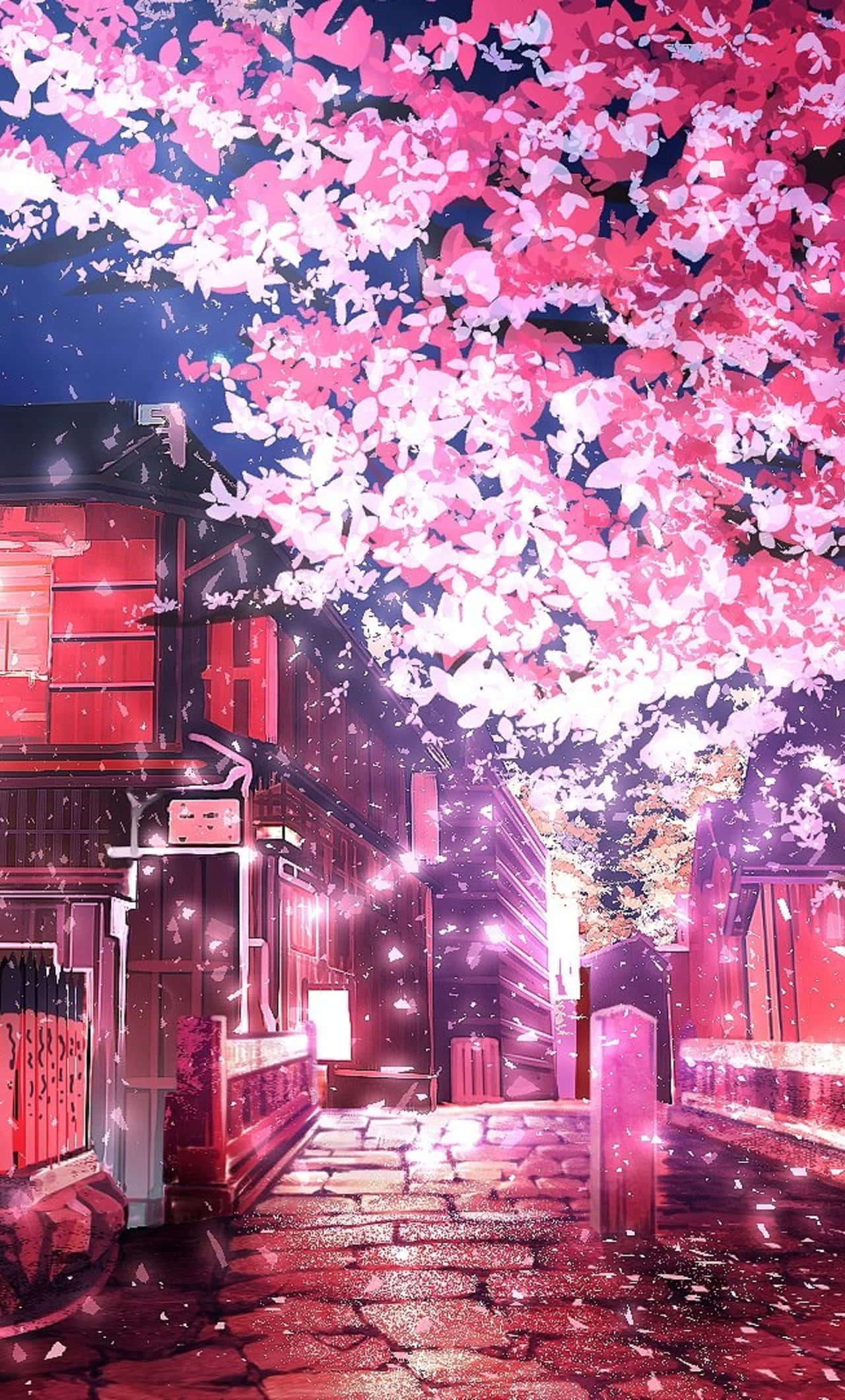 Pink cherry blossoms, glowing red lantern street, night, Full HD Phone Wallpaper