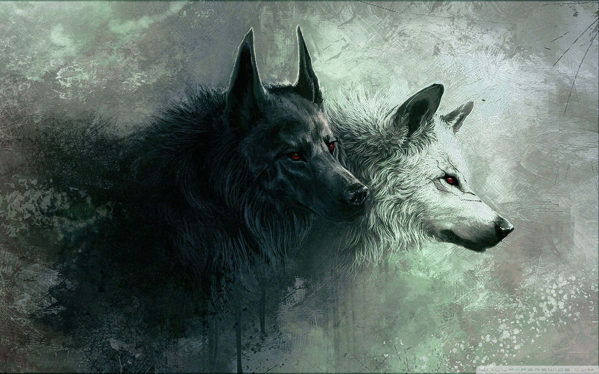 Cool Anime Wolf, black, white, Full HD Desktop Wallpaper