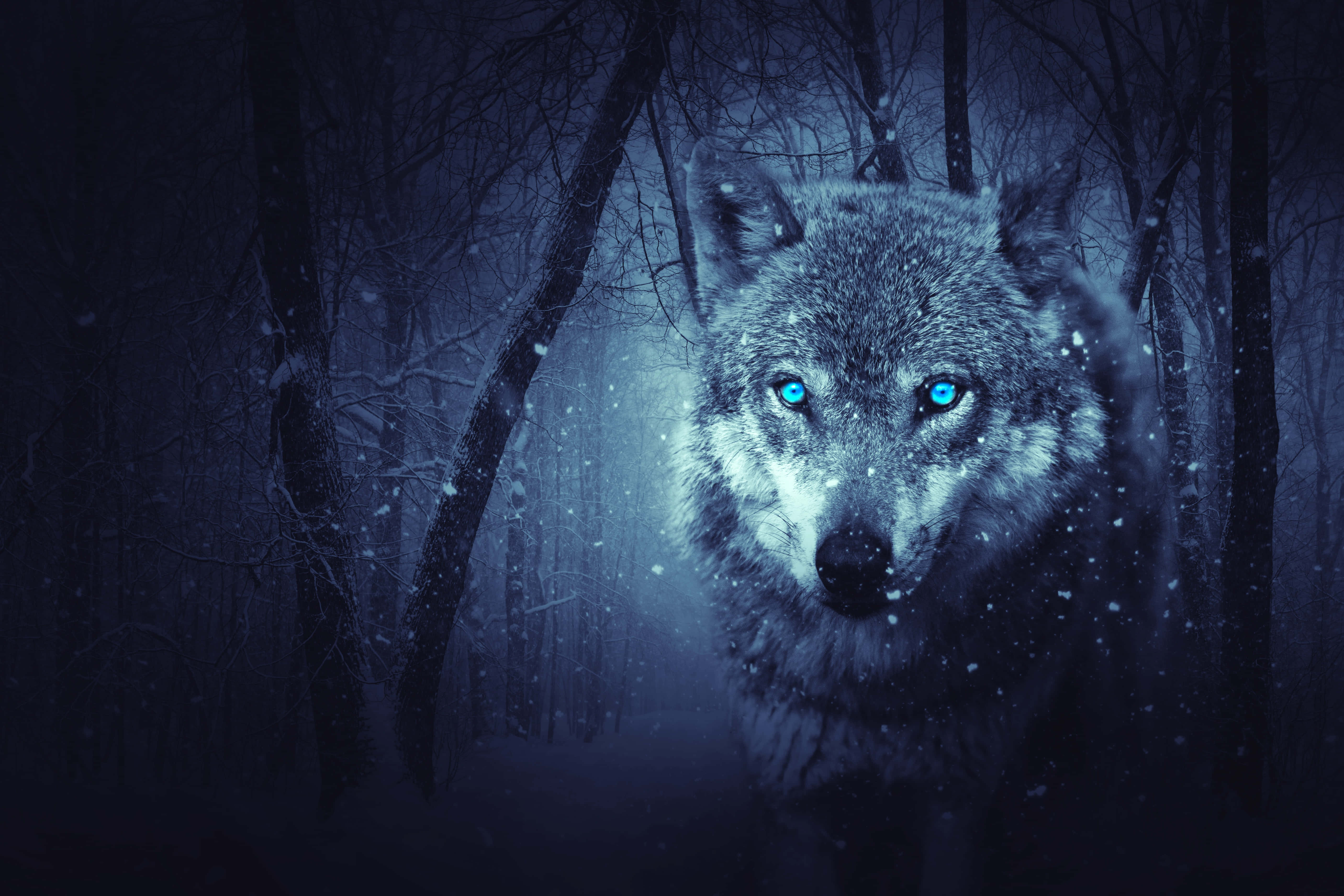 Cool Anime Wolf, glowing blue eyes, snowy winter forest, 5K Desktop Wallpaper