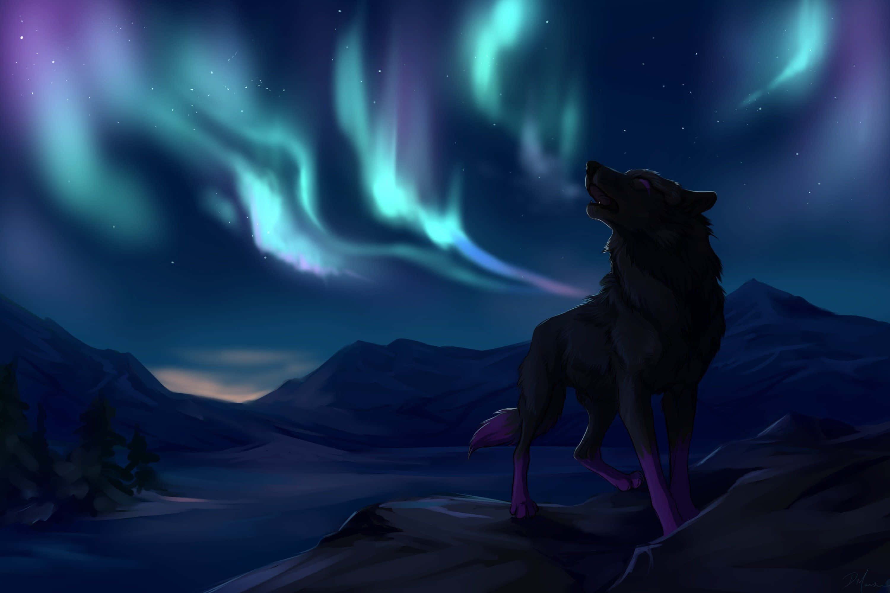 anime wolf, aurora borealis, mountainous night landscape, 2K Desktop Wallpaper