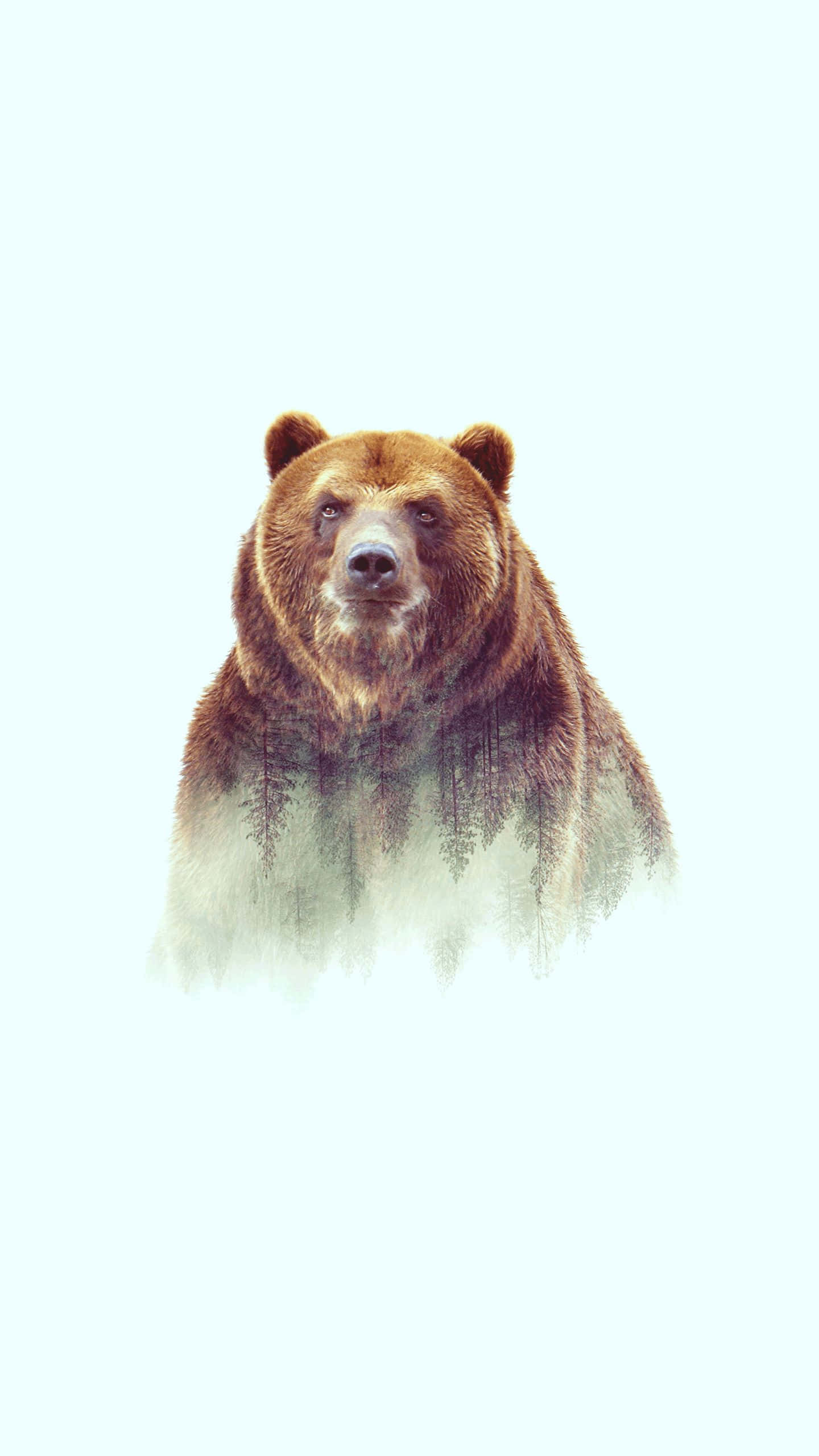 Cool Bear, pastel aesthetic, brown bear, 2K Phone Wallpaper