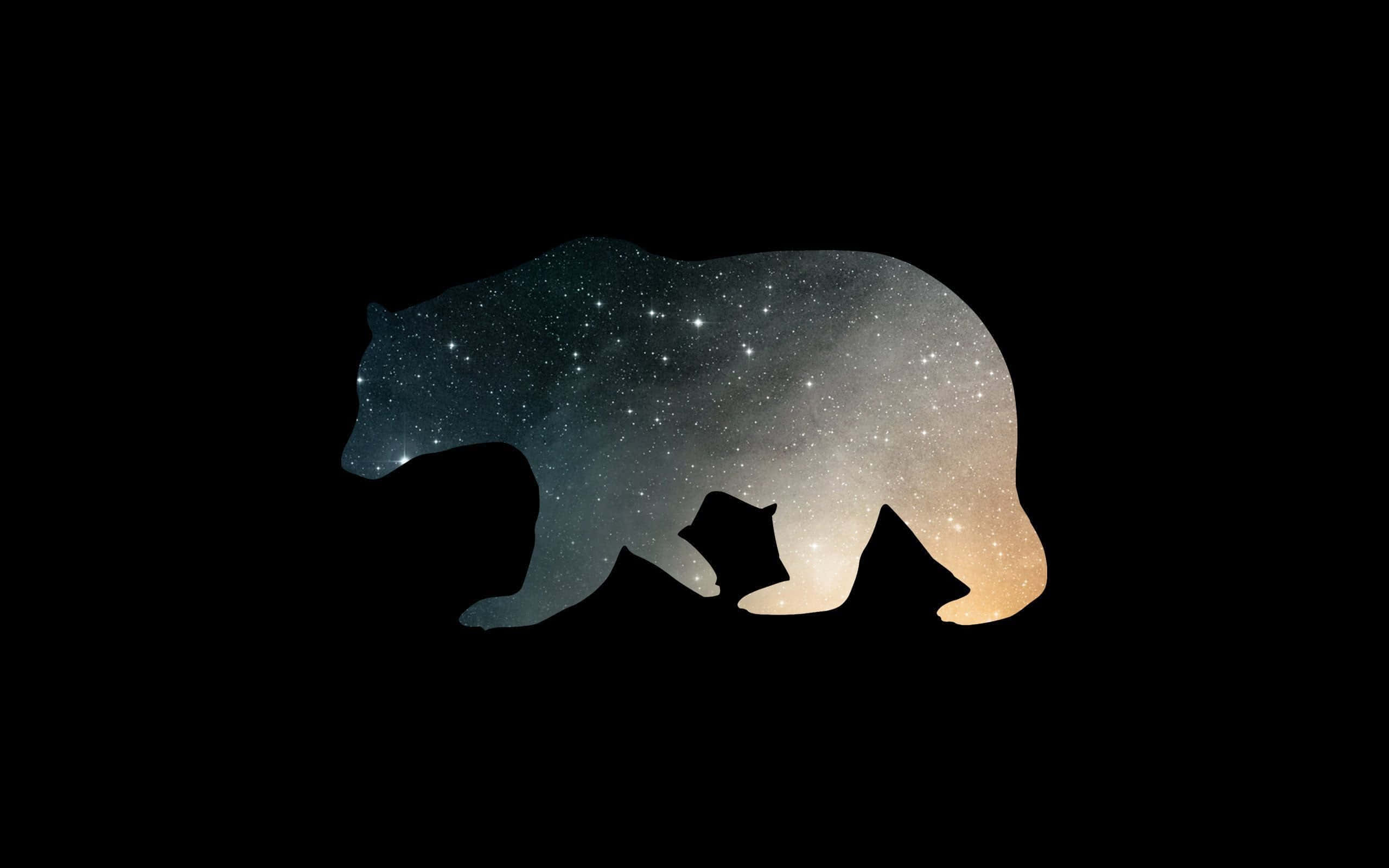 Cool Bear, starry galaxy gradient, black background, 2K Desktop Wallpaper