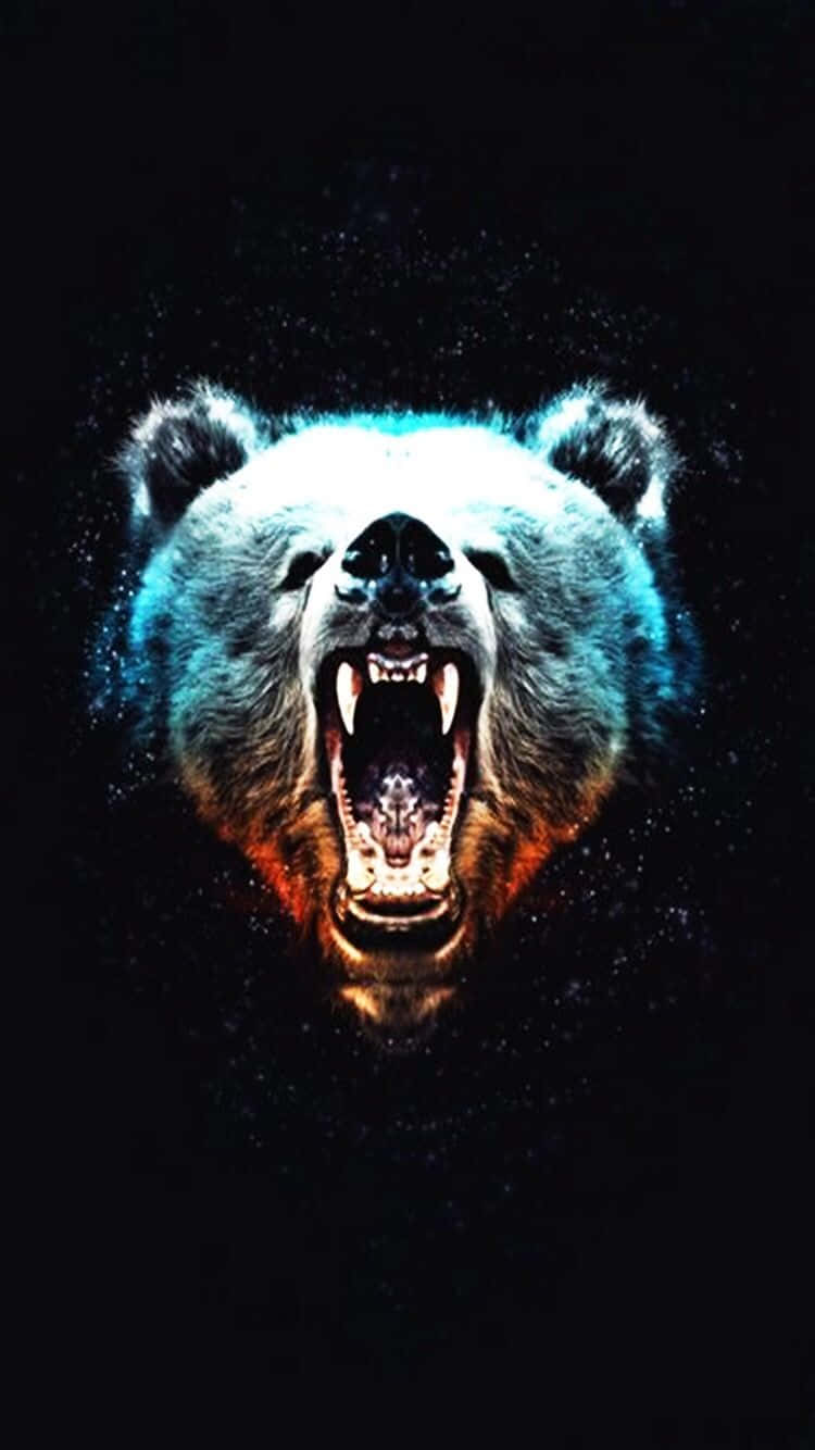 Cool Bear, blue and orange light, dark speckled background, HD Phone Wallpaper