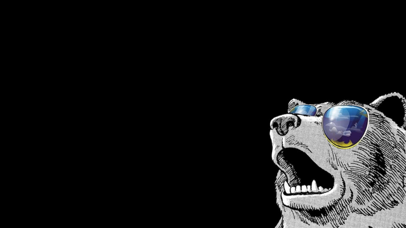 Cool Bear, reflective sunglasses, stark black background, HD Desktop Wallpaper