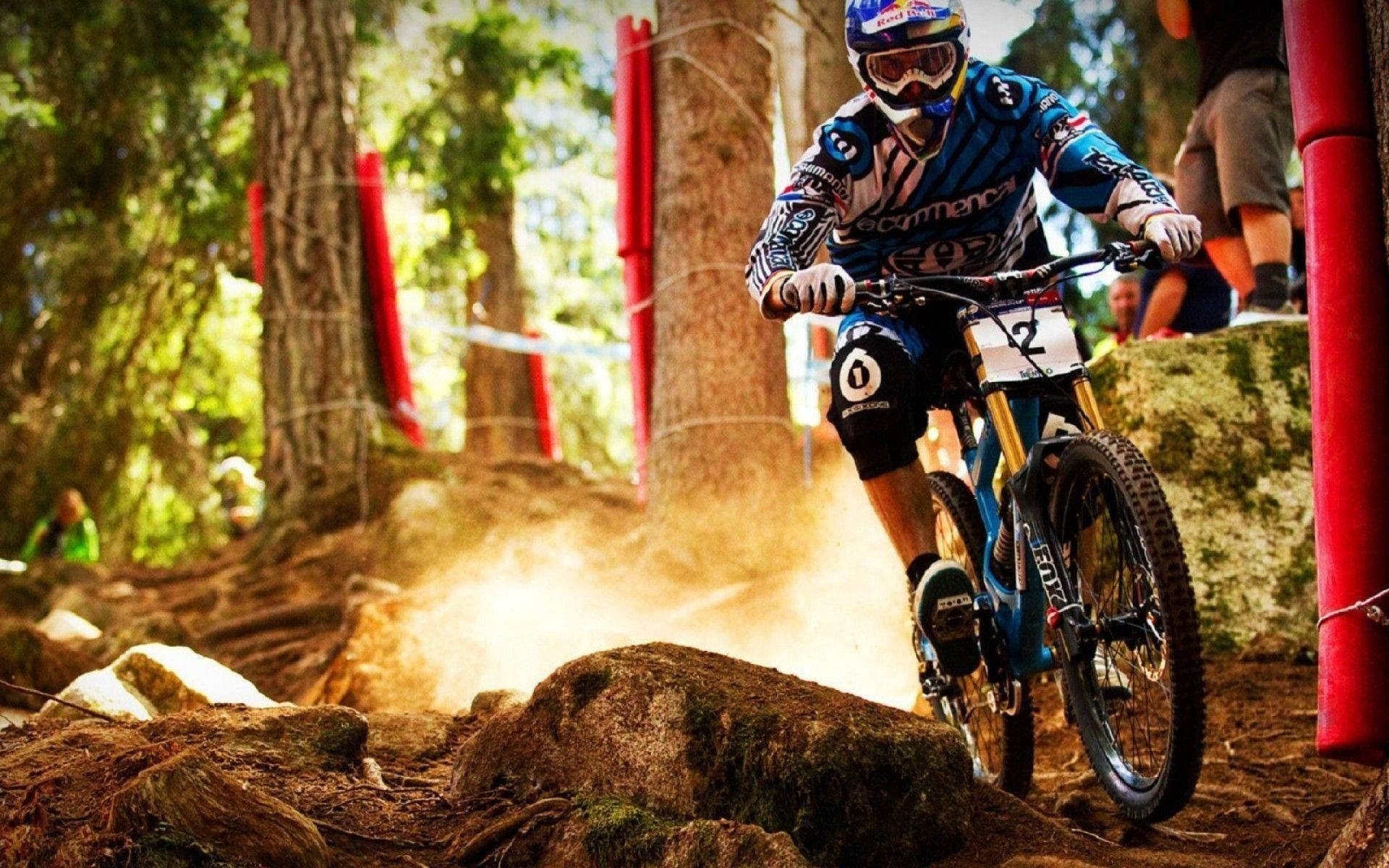 mountain bike, forest trail, dust, Full HD Desktop Wallpaper