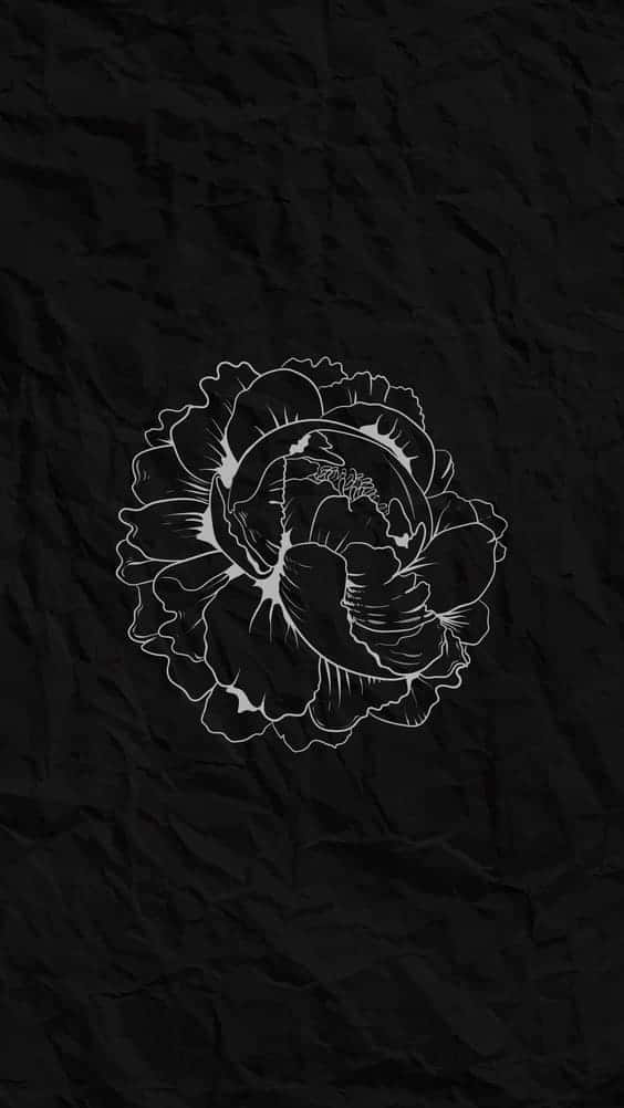 peony flower, white line drawing, textured black crumpled paper background, SD Phone Wallpaper