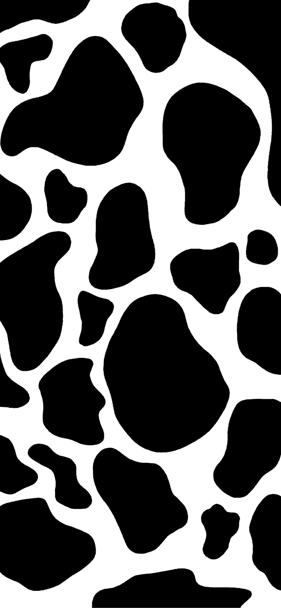 black and white cow print, irregular organic shapes, clean background, 2K Phone Wallpaper