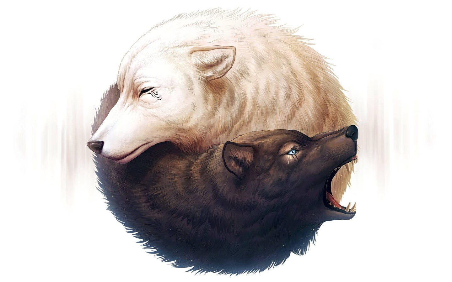 Cool Black Wolf, White Wolf, Yin Yang, HD Desktop Wallpaper