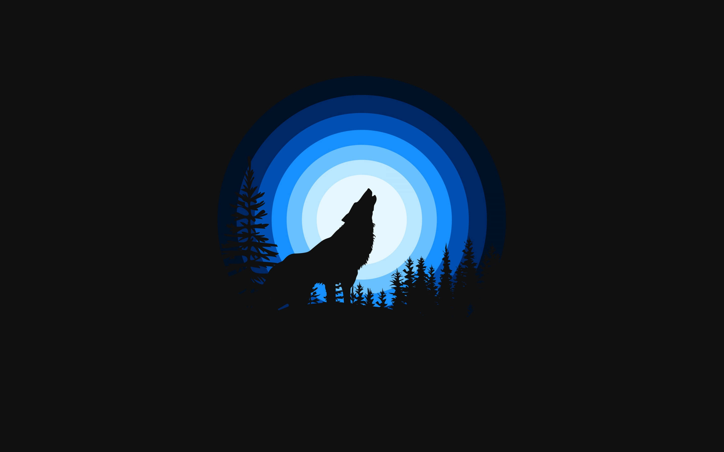Cool Black Wolf, blue concentric circle moon, pine trees, 2K Desktop Wallpaper