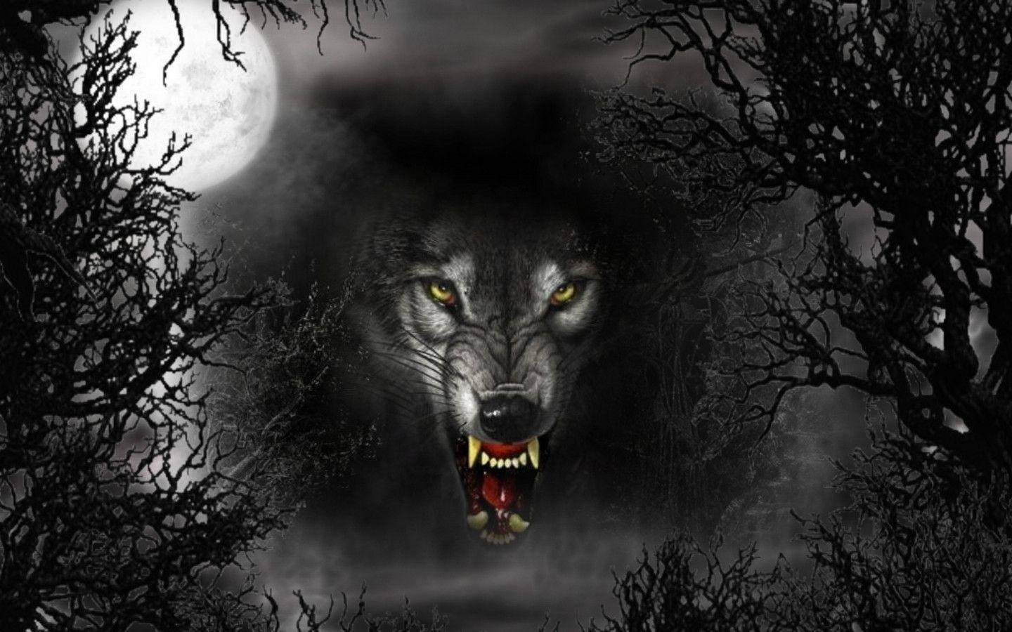 Cool Black Wolf, glowing yellow eyes, full moon, HD Desktop Wallpaper