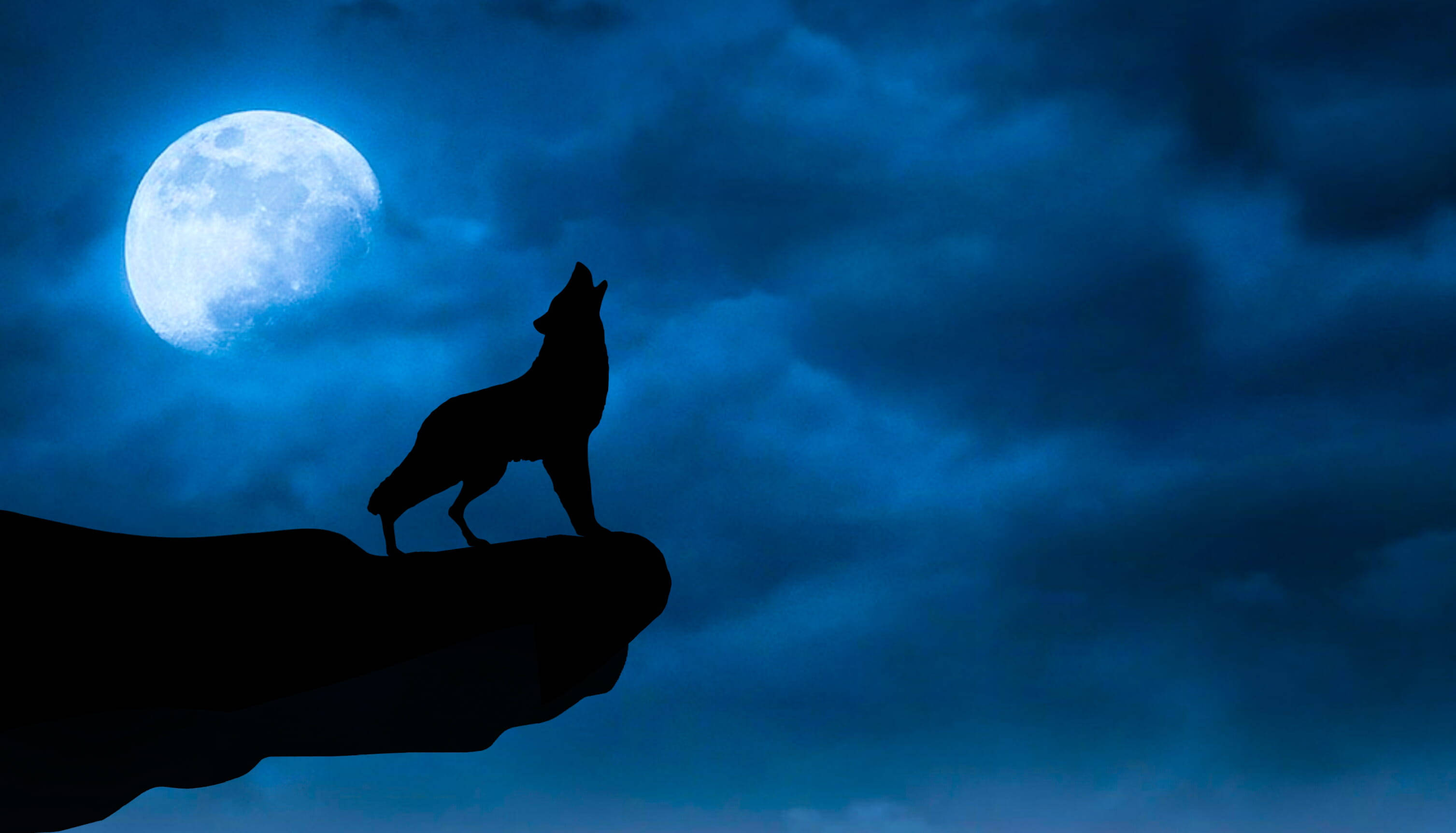 Cool Black Wolf, howling, cliff, 2K Desktop Wallpaper