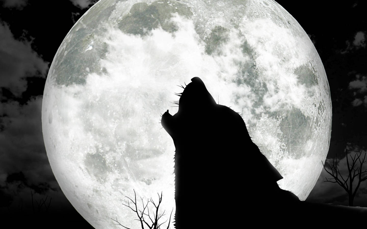 Cool Black Wolf, full moon, dark sky, HD Desktop Wallpaper