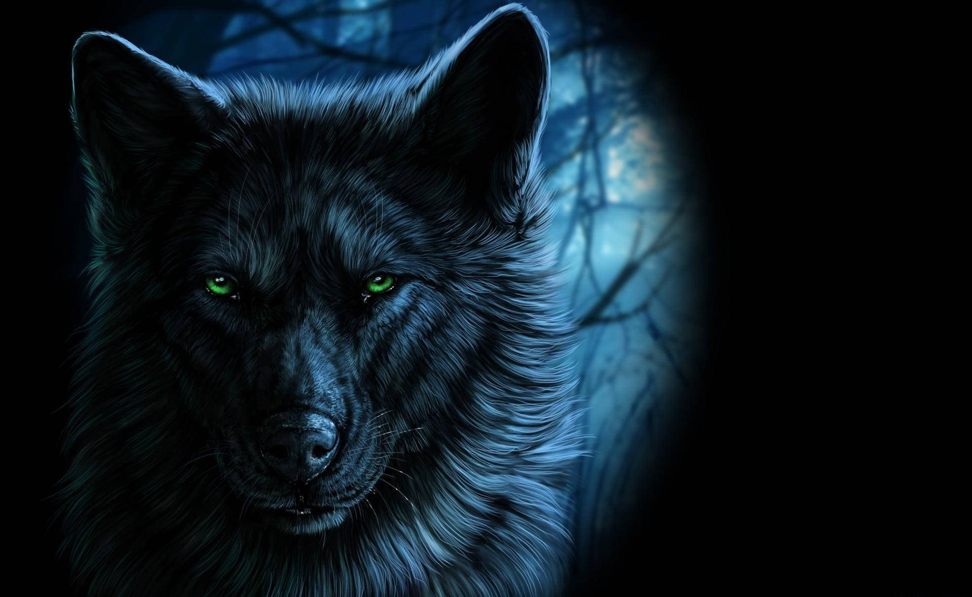 Cool Black Wolf, green eyes, dark forest, Full HD Desktop Wallpaper