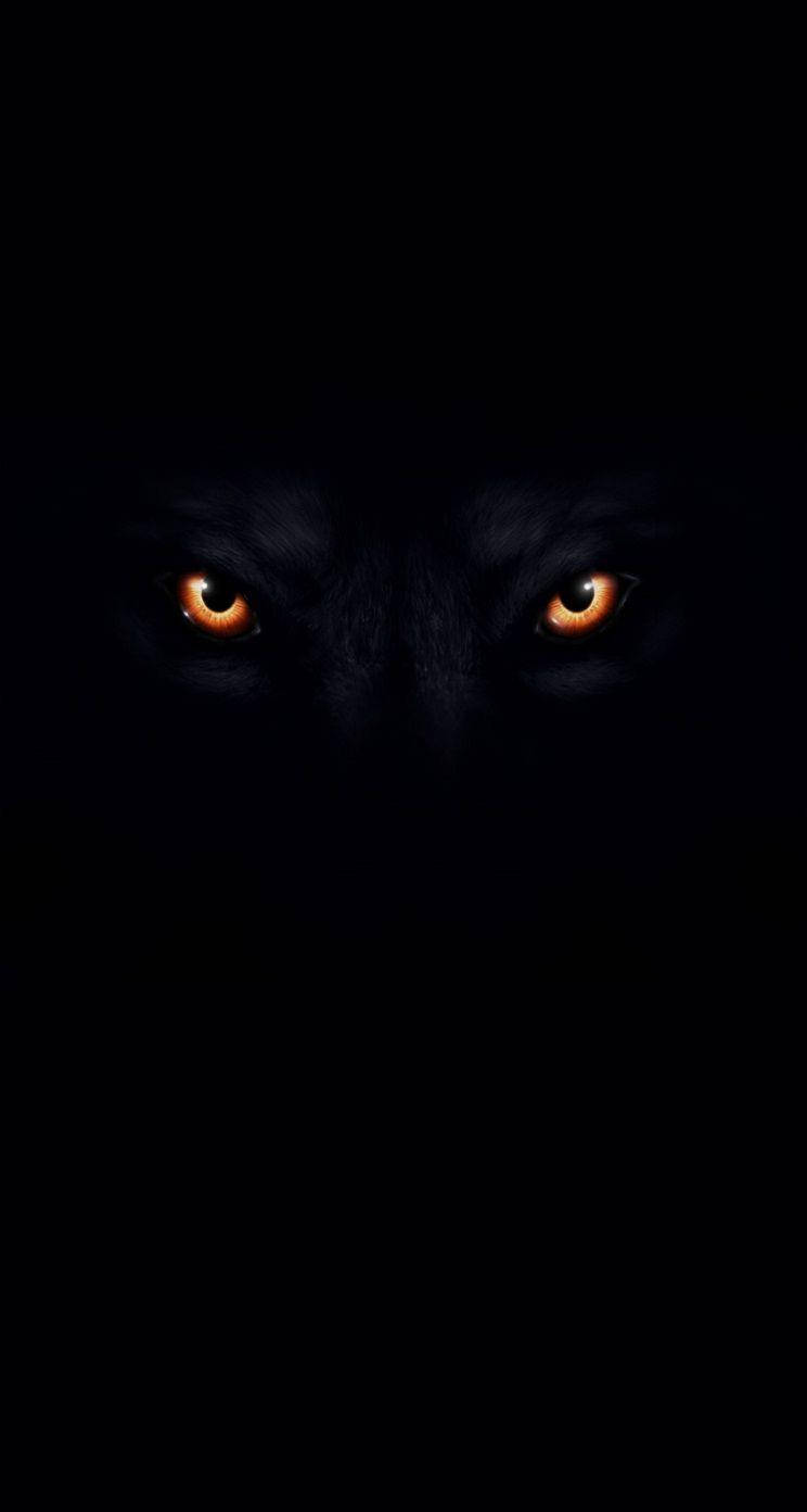 Cool Black Wolf, glowing amber eyes, absolute darkness, HD Phone Wallpaper