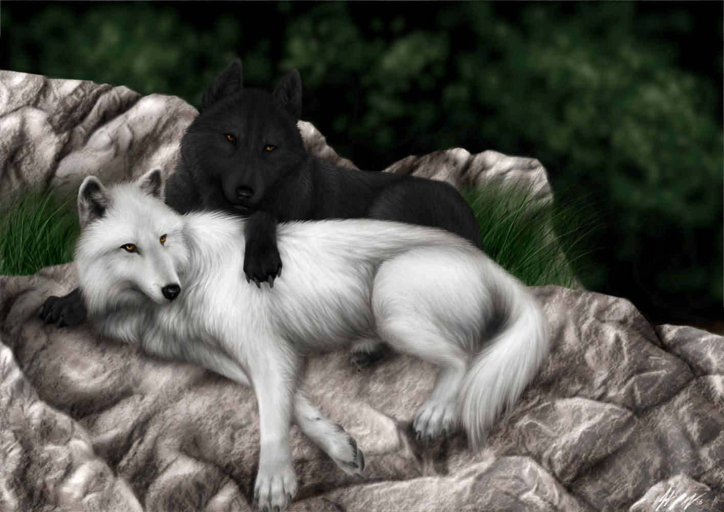Cool Black Wolf, white wolf, rocky outcrop, HD Desktop Wallpaper