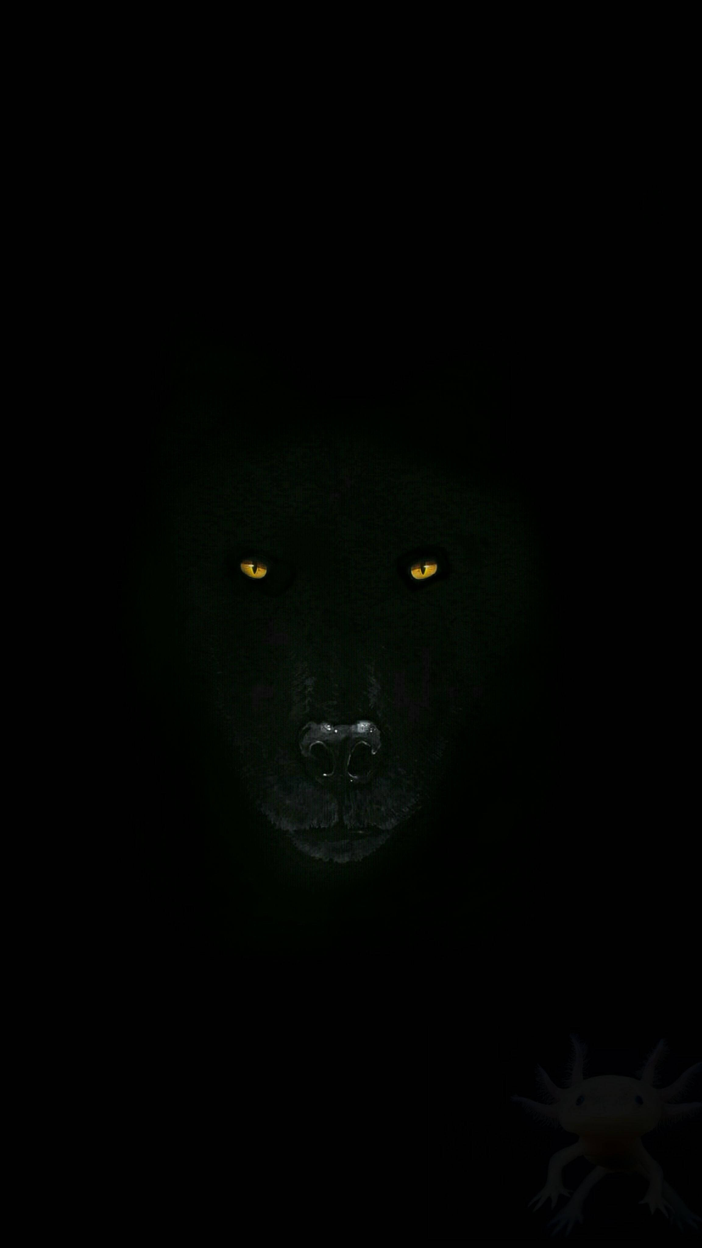 eyes of black wolf, glowing yellow eyes, majestic black wolf, 4K Phone Wallpaper