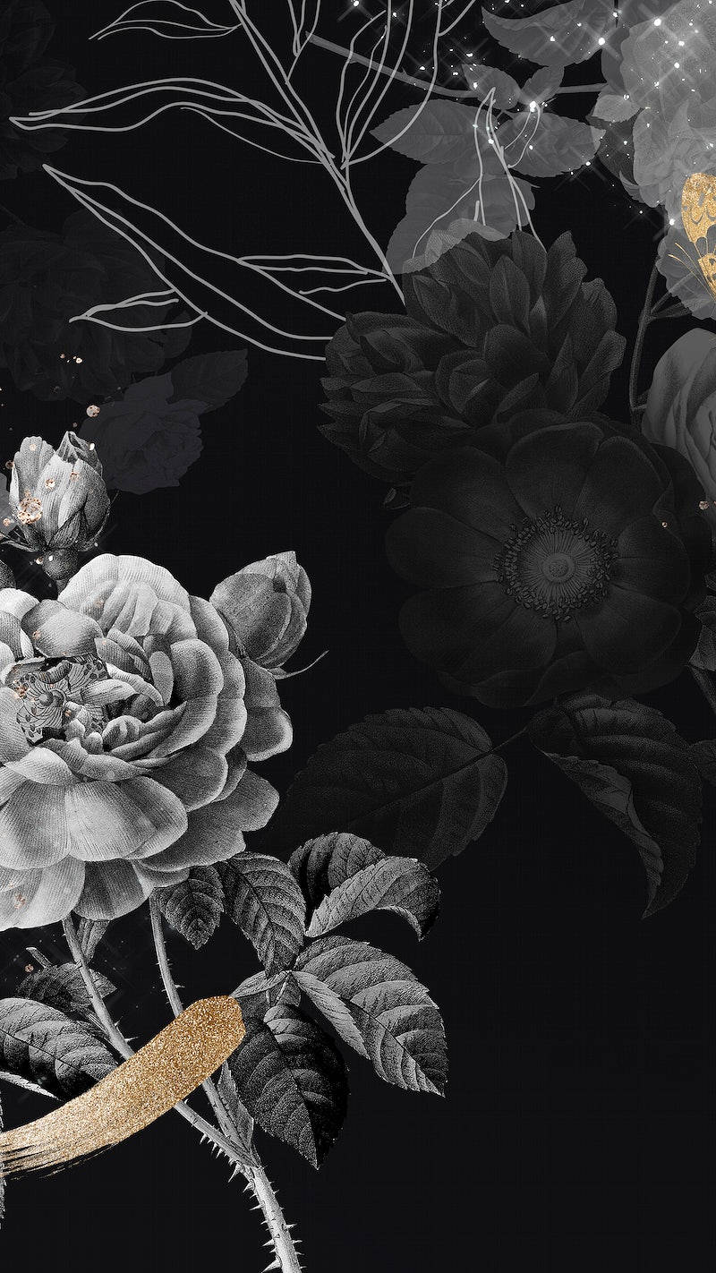 iPhone, thorn flowers, monochrome roses, HD Phone Wallpaper