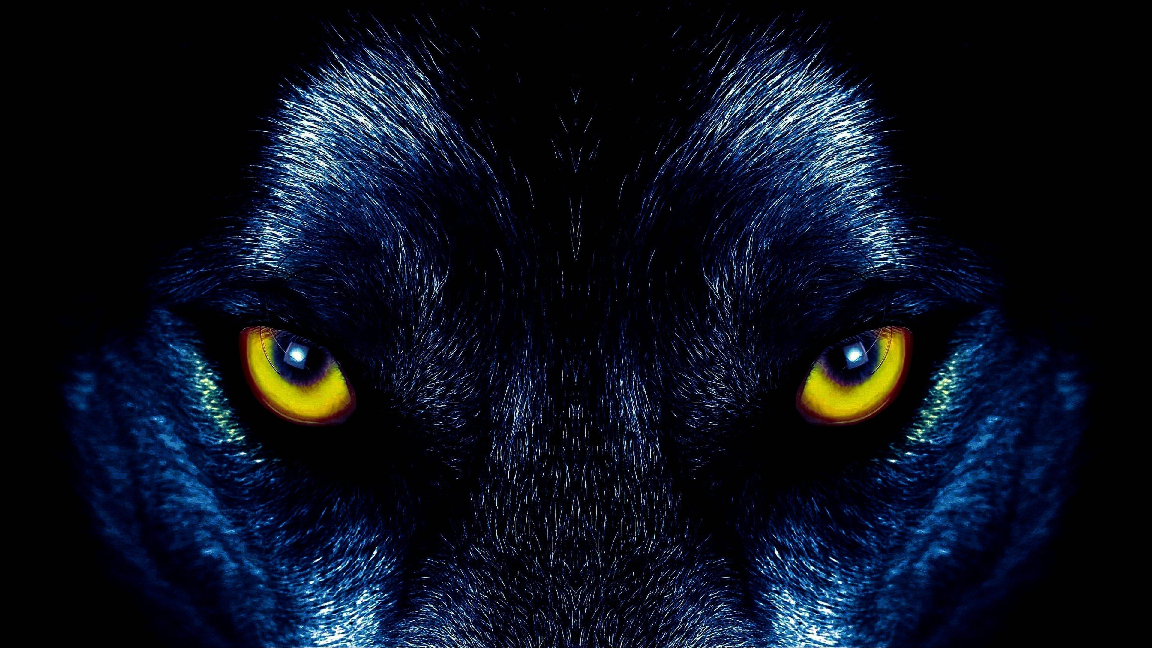black wolf, glowing yellow eyes, pitch-black background, 4K Desktop Wallpaper