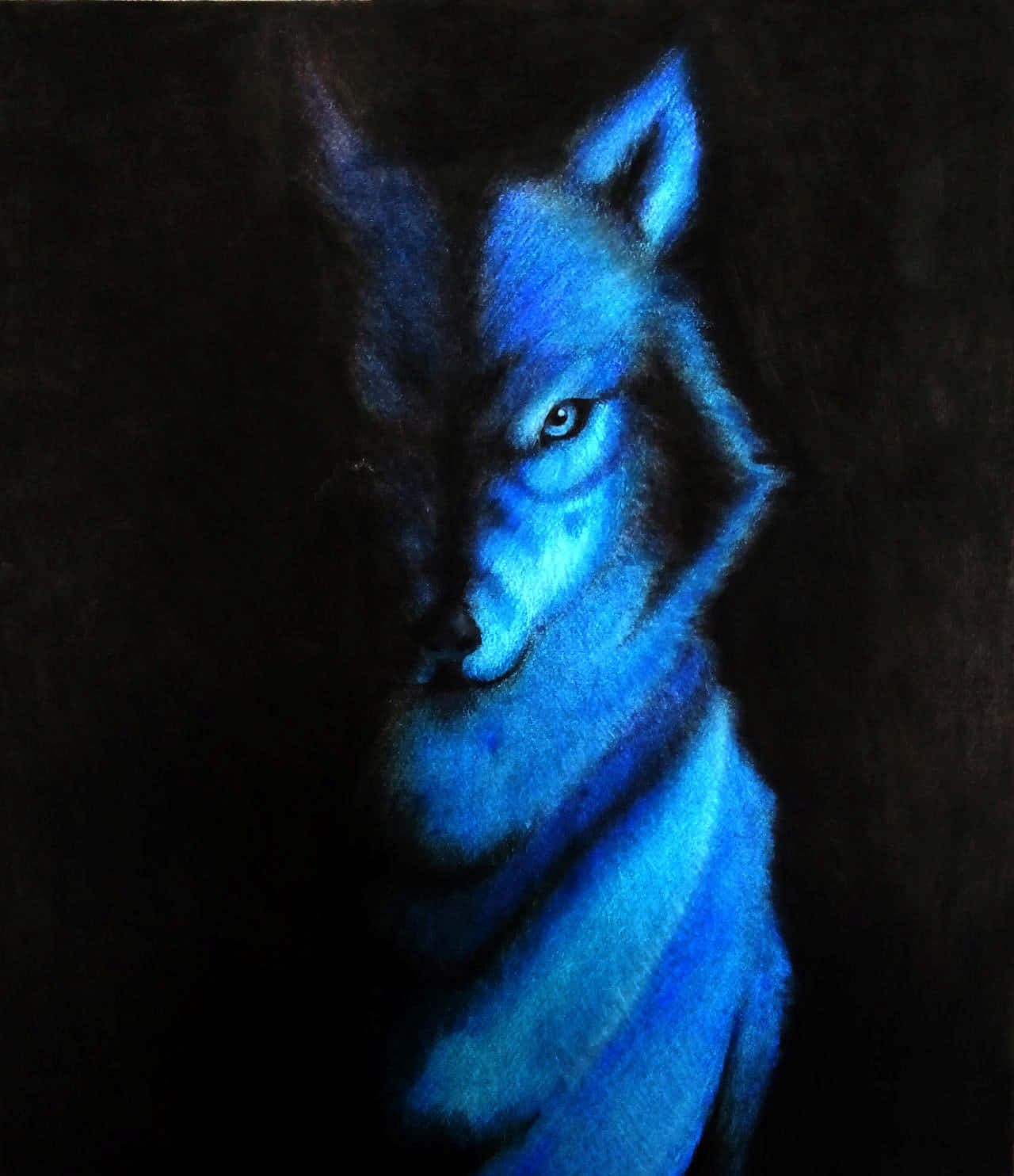 Cool Blue Wolf, glowing blue wolf, piercing eyes, HD Phone Wallpaper