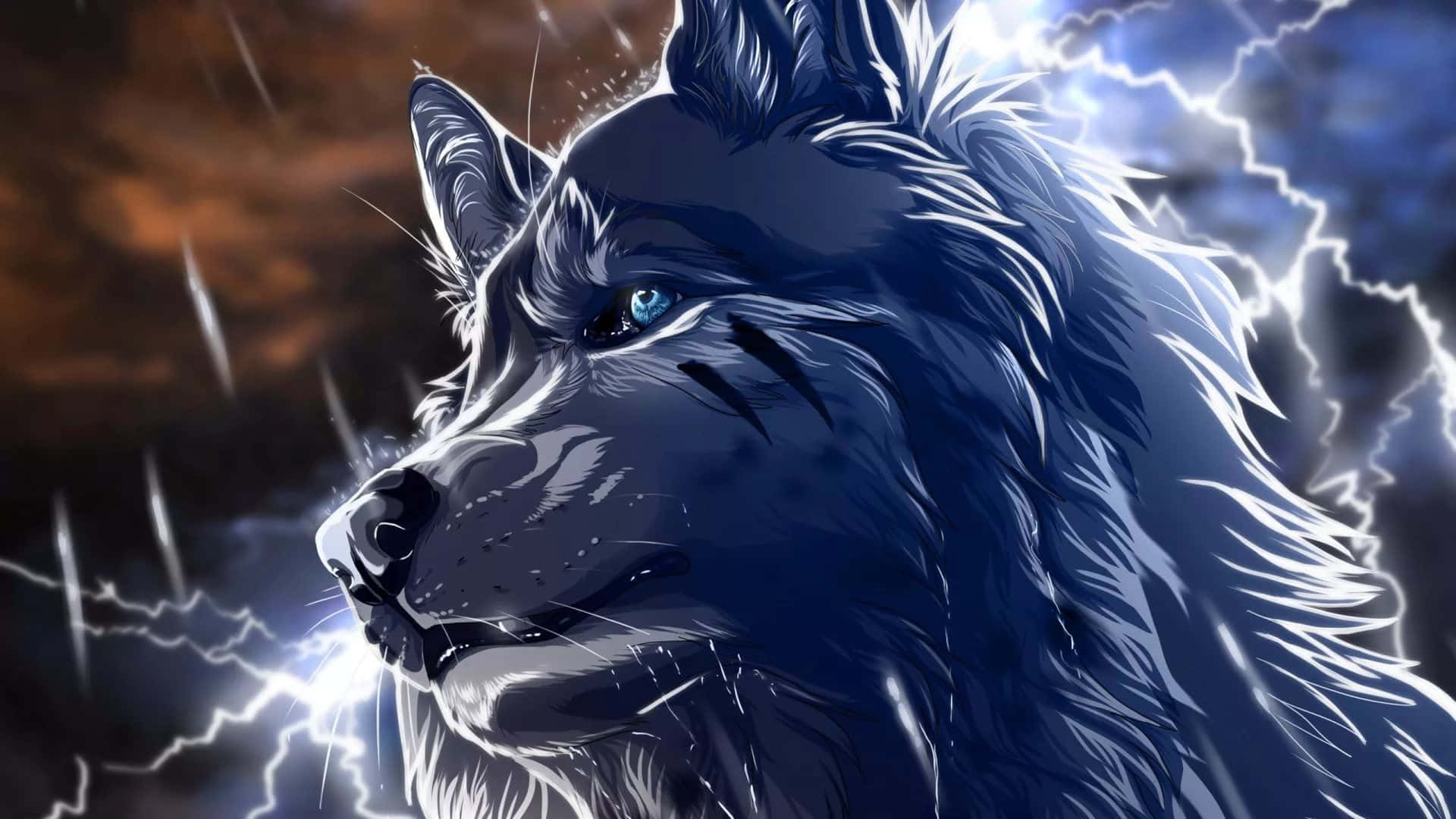 Cool Blue Wolf, blue-eyed wolf, stormy sky, Full HD Desktop Wallpaper