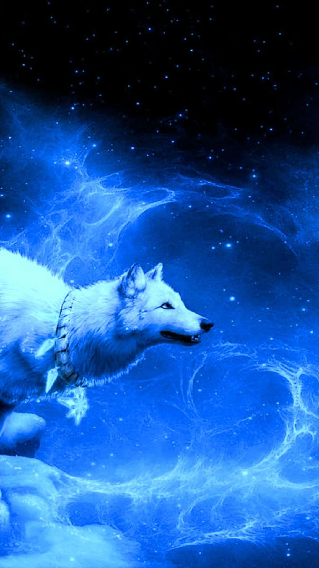 Cool Blue Wolf, northern lights, cosmic blue nebula, Full HD Phone Wallpaper