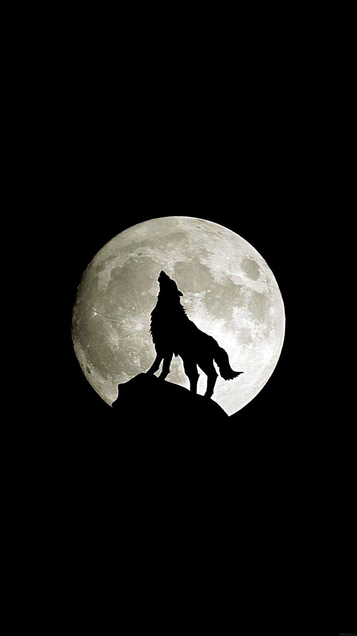 Wolf, full moon, rocky peak, Full HD Phone Wallpaper