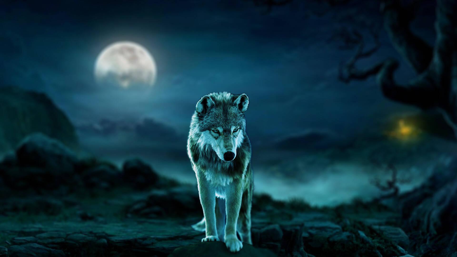 Blue Wolf, full moon, rocky outcrop, Full HD Desktop Wallpaper