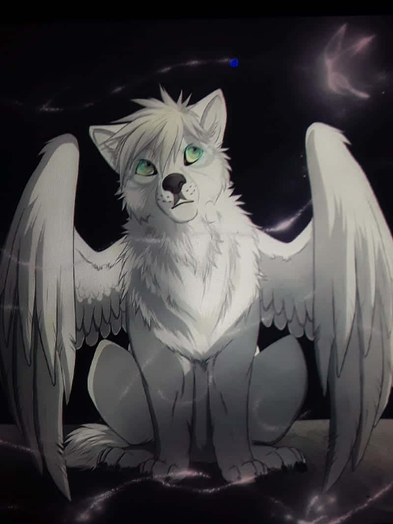 Super Cool Wolf, white winged wolf, glowing green eyes, SD Phone Wallpaper