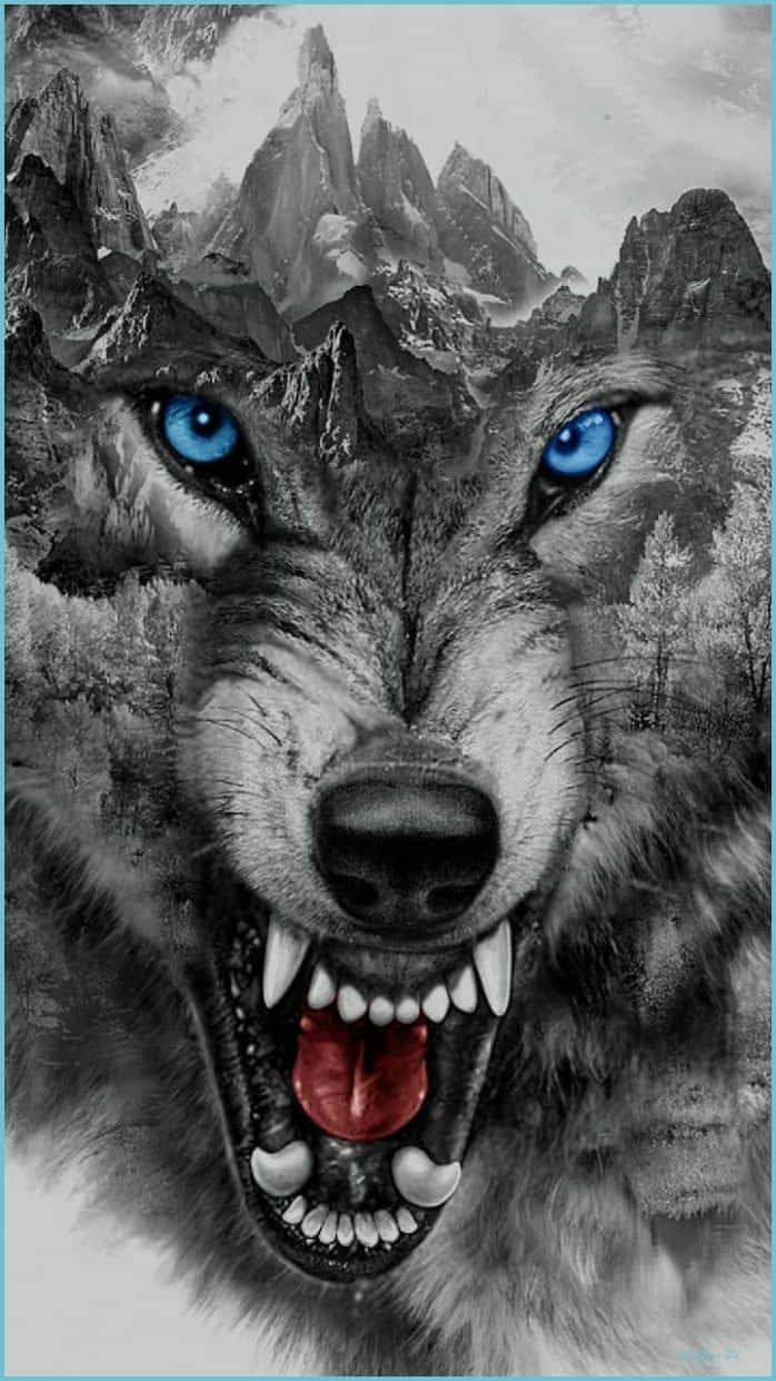 Wolf, iPhone wallpaper, fierce blue eyes, SD Phone Wallpaper