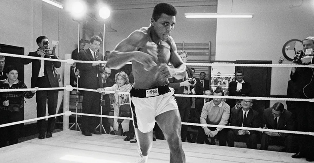 Cool Boxing