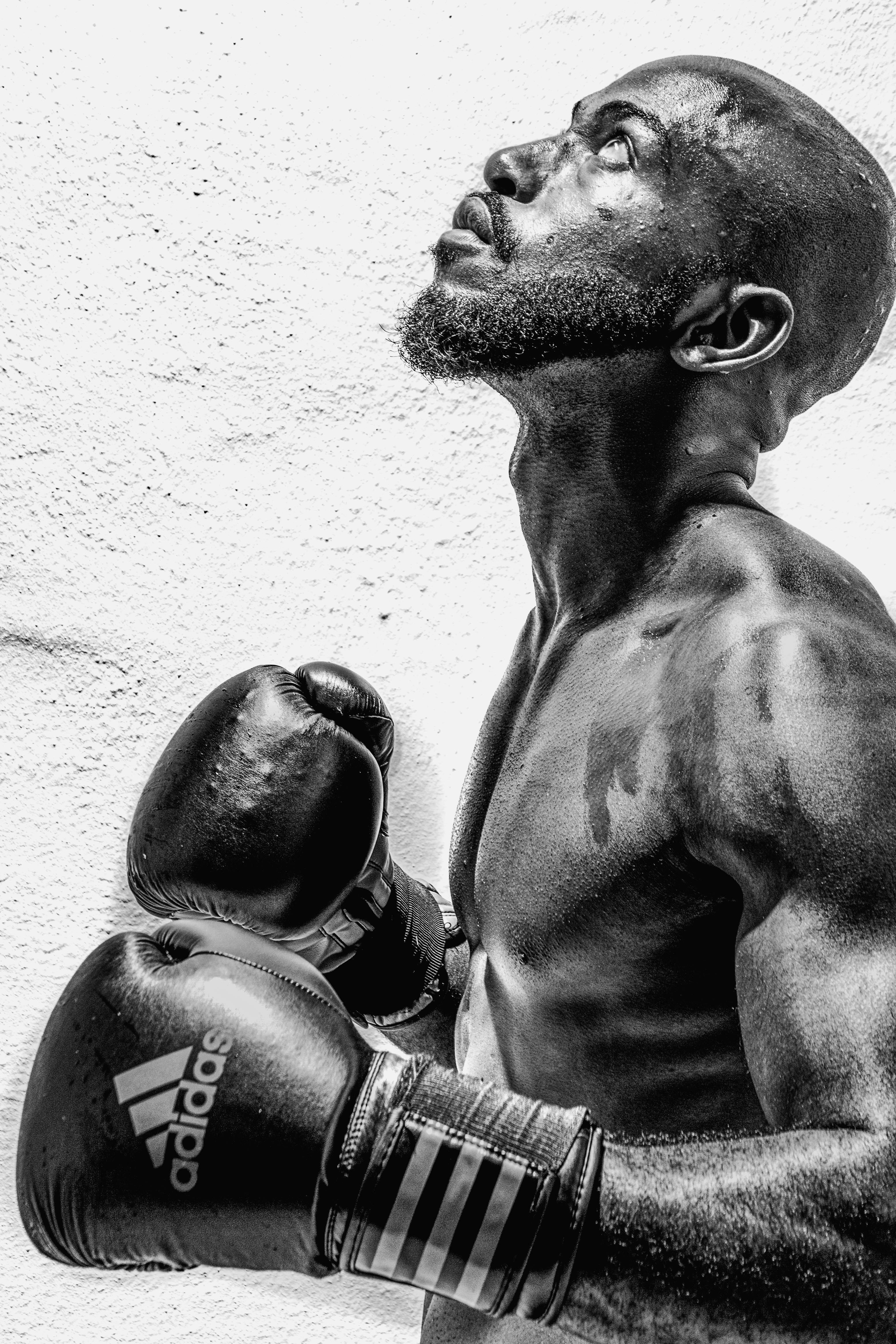Adidas gloves, textured wall, dramatic black and white portrait, 4K Phone Wallpaper