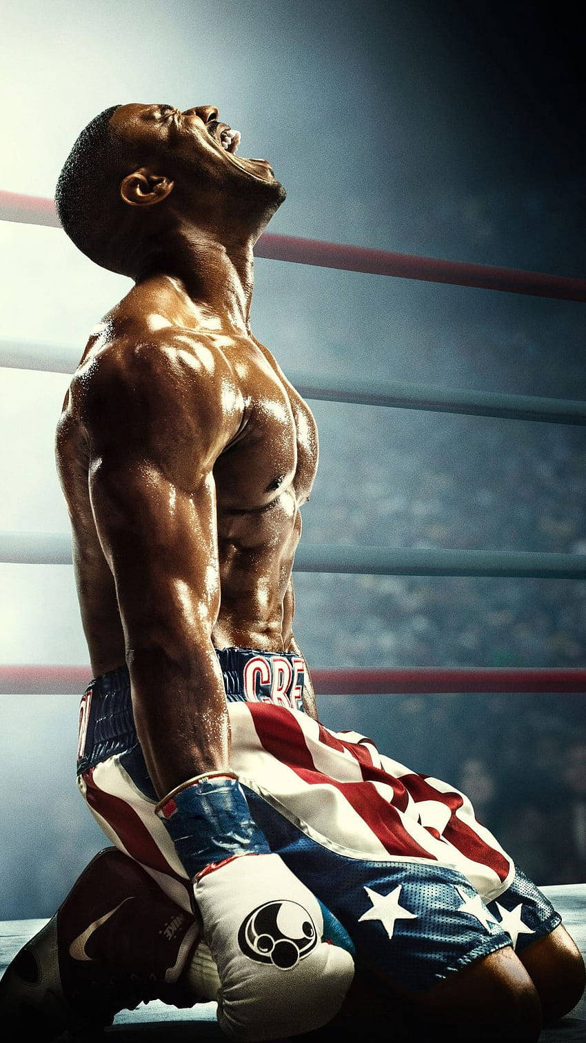 Cool Boxing, 850 x 1511, ring, HD Phone Wallpaper